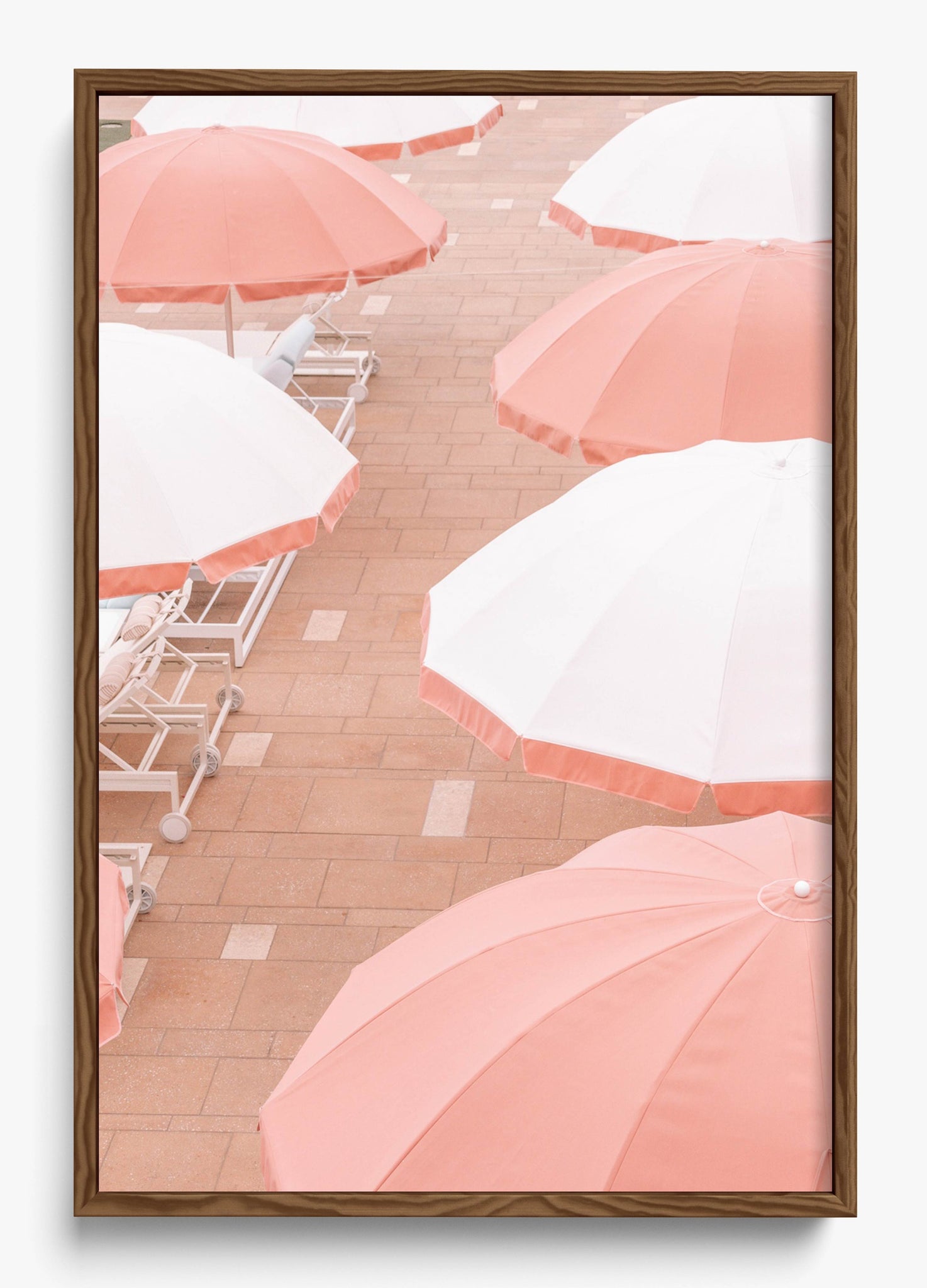 Coral Umbrellas