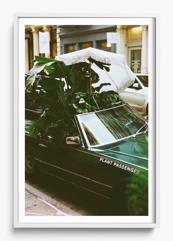 Green Machine in a White frame