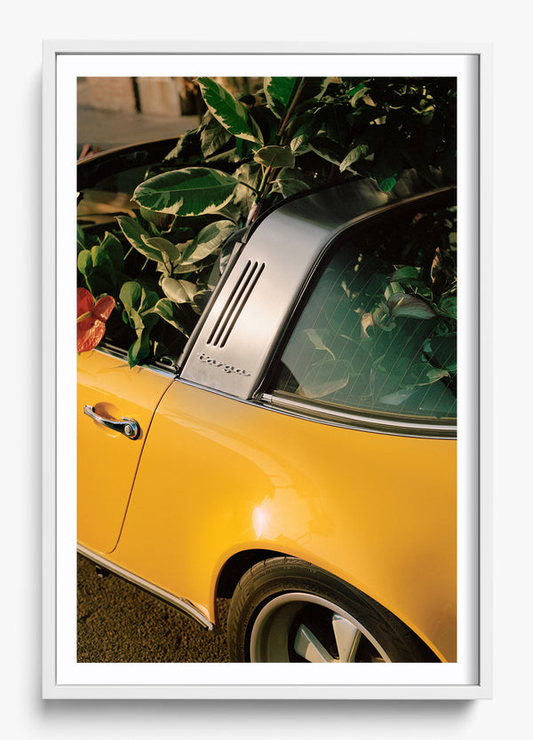 Mellow Yellow in a White frame