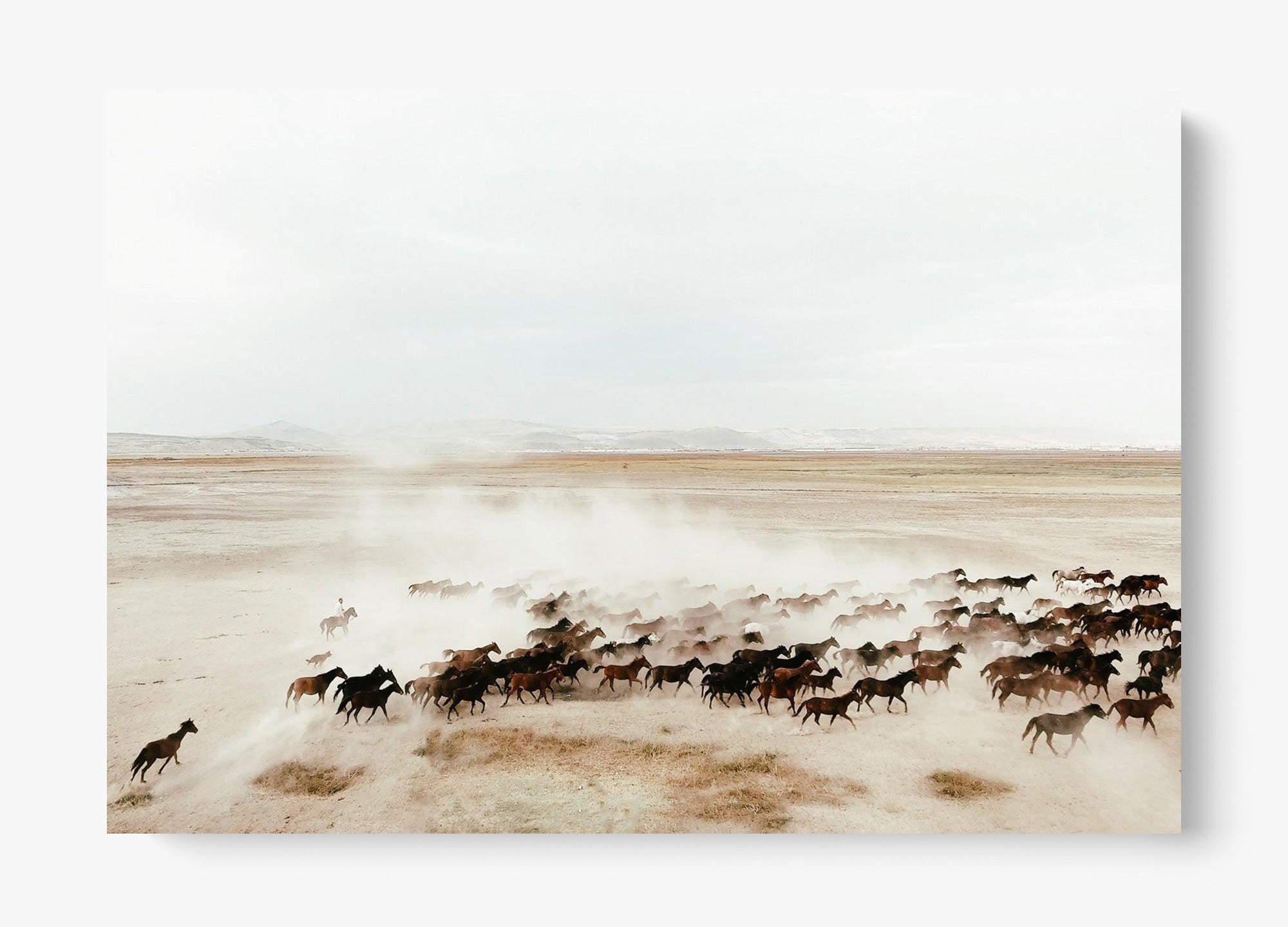 Homeward Unframed