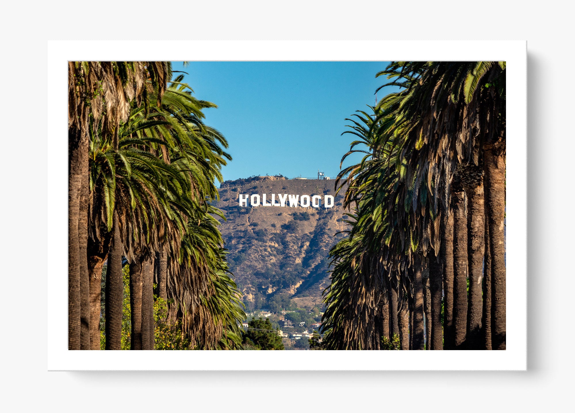 Road To Hollywood