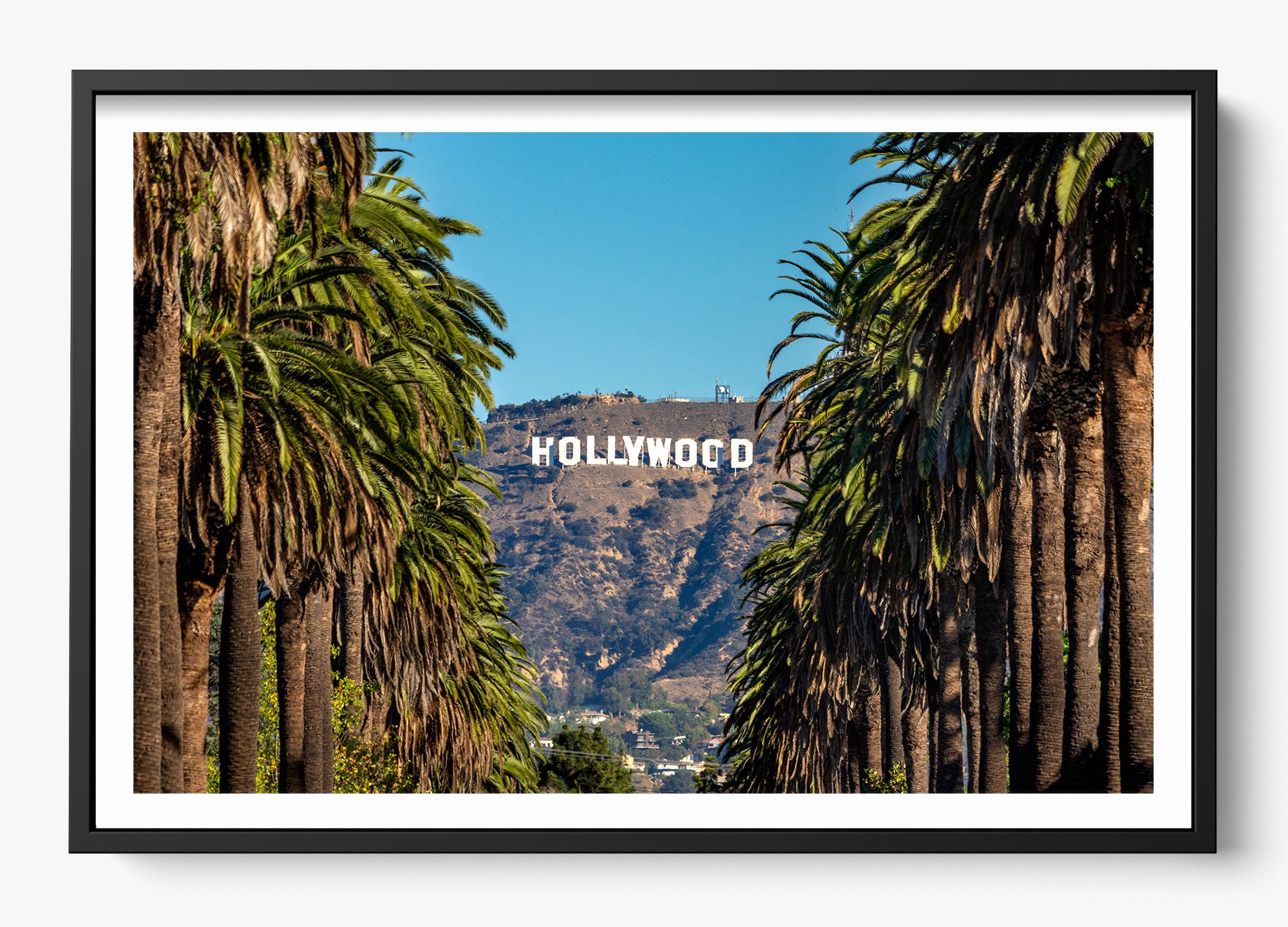Road To Hollywood