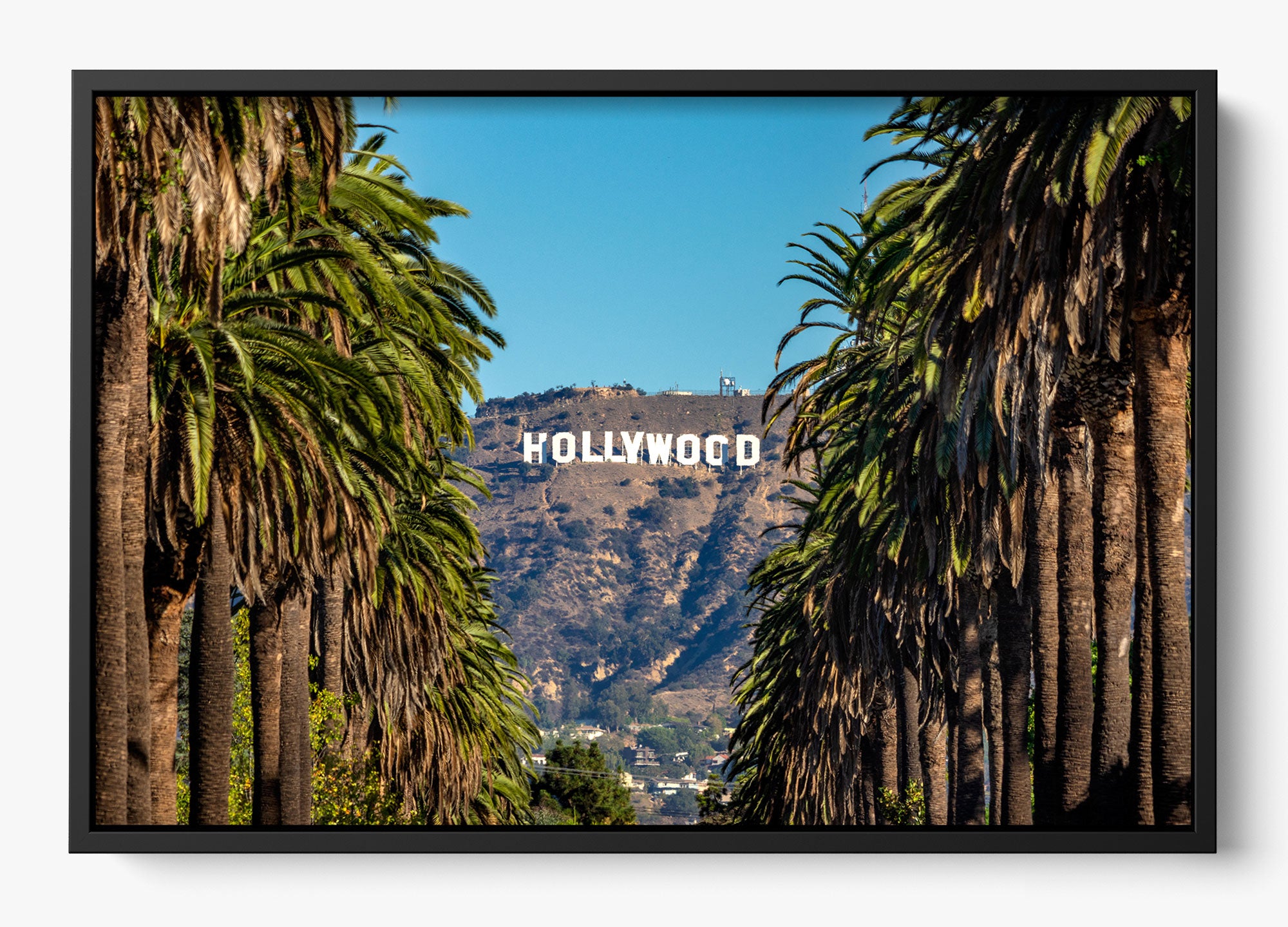Road To Hollywood