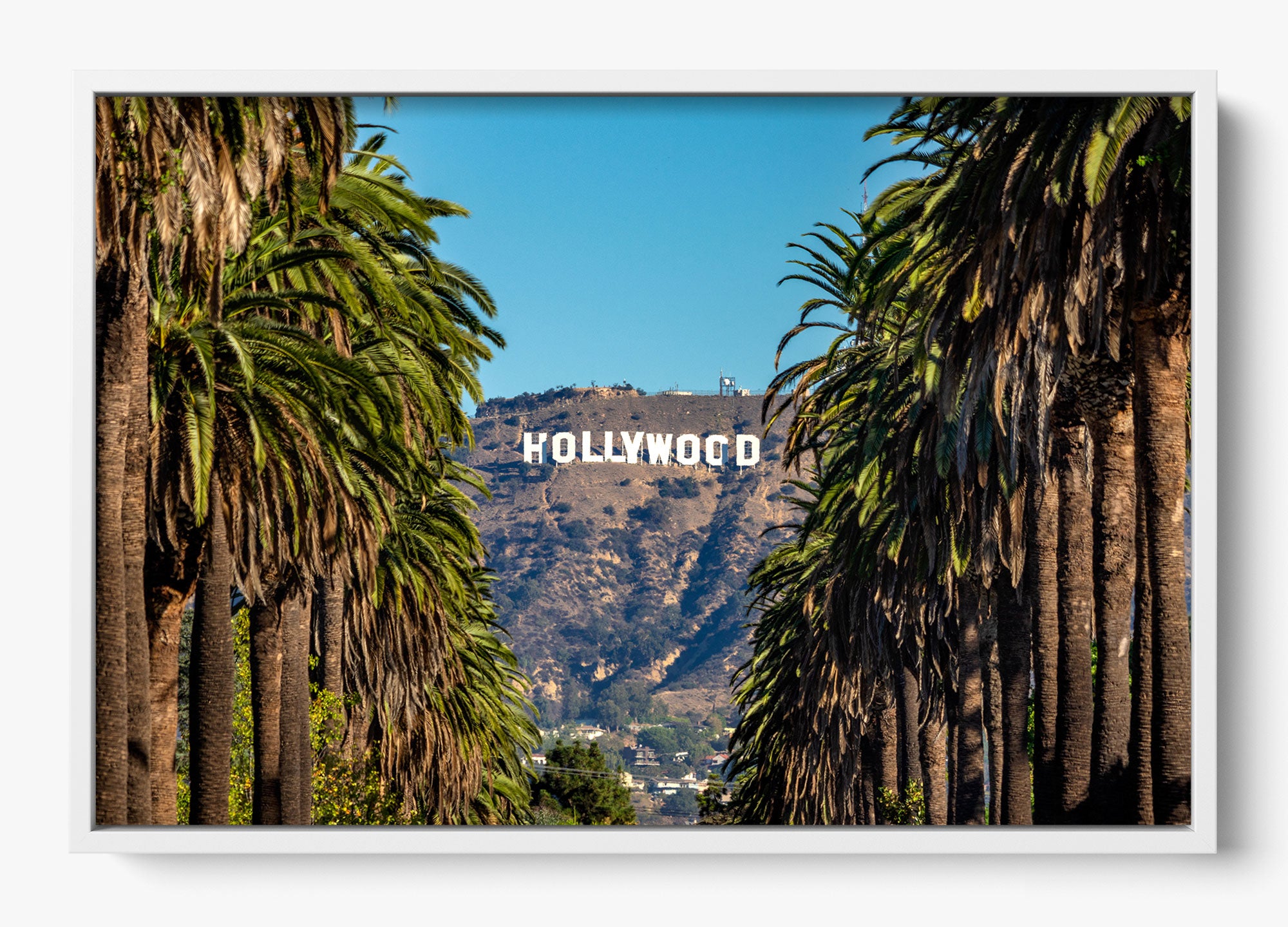 Road To Hollywood