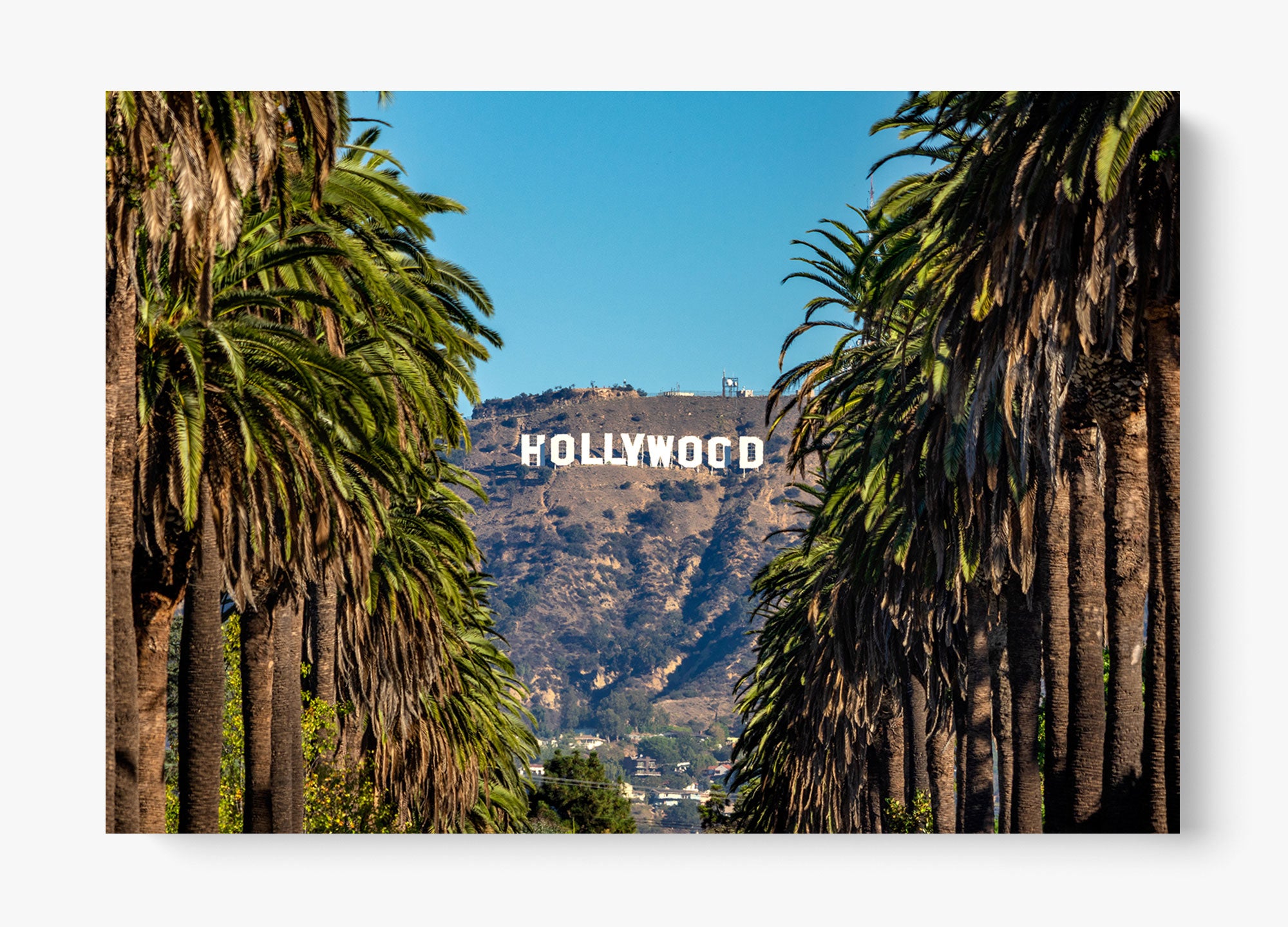 Road To Hollywood