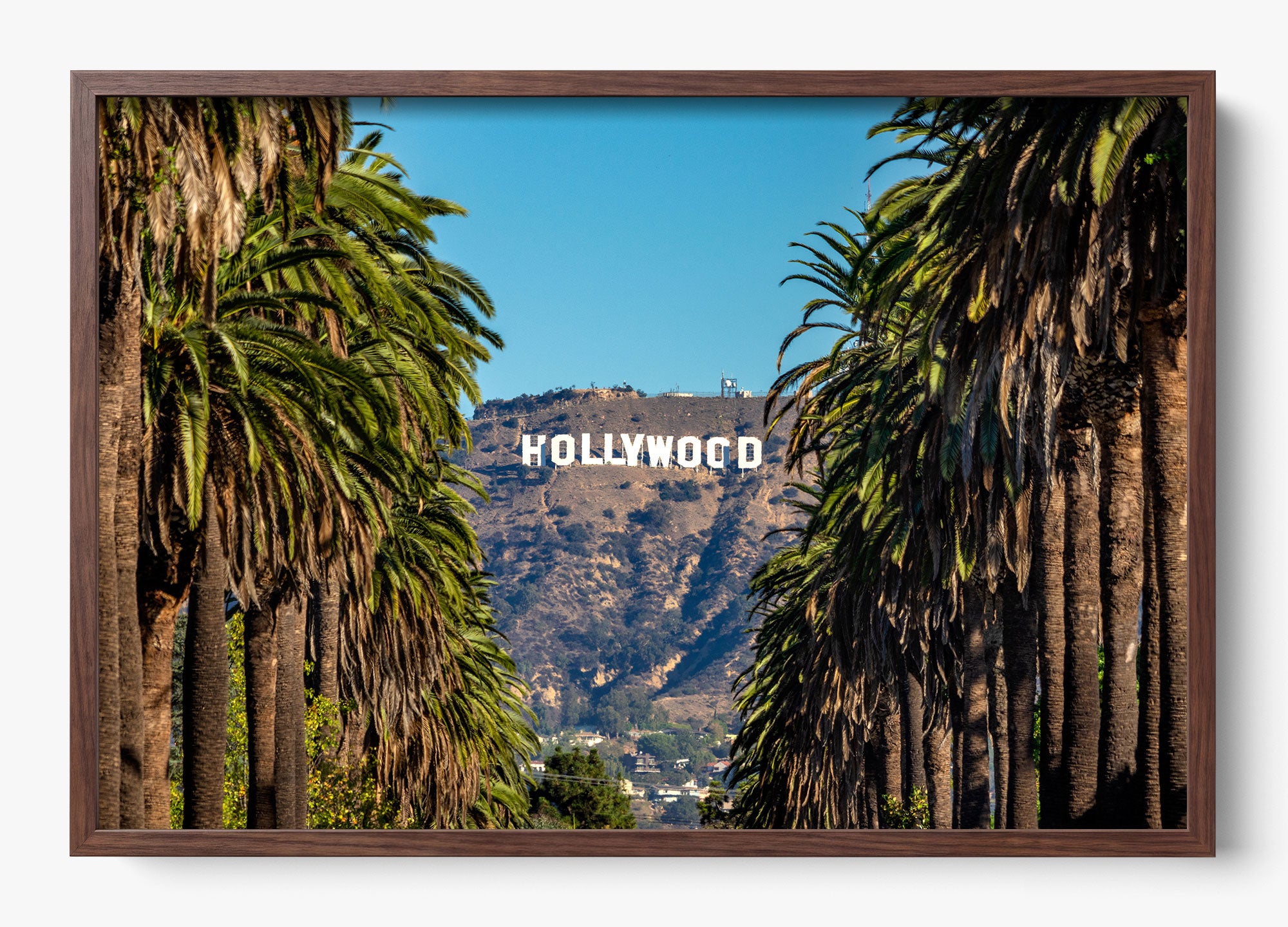 Road To Hollywood