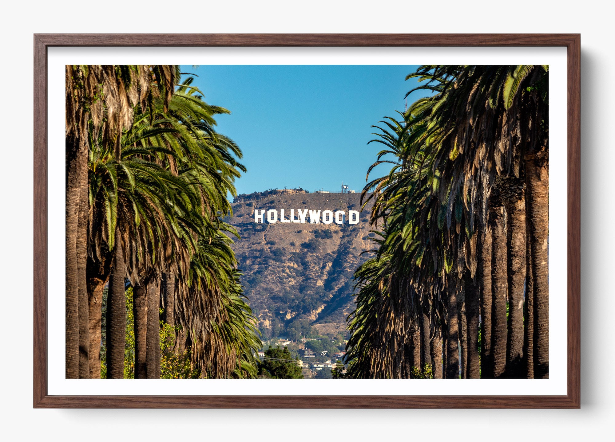 Road To Hollywood