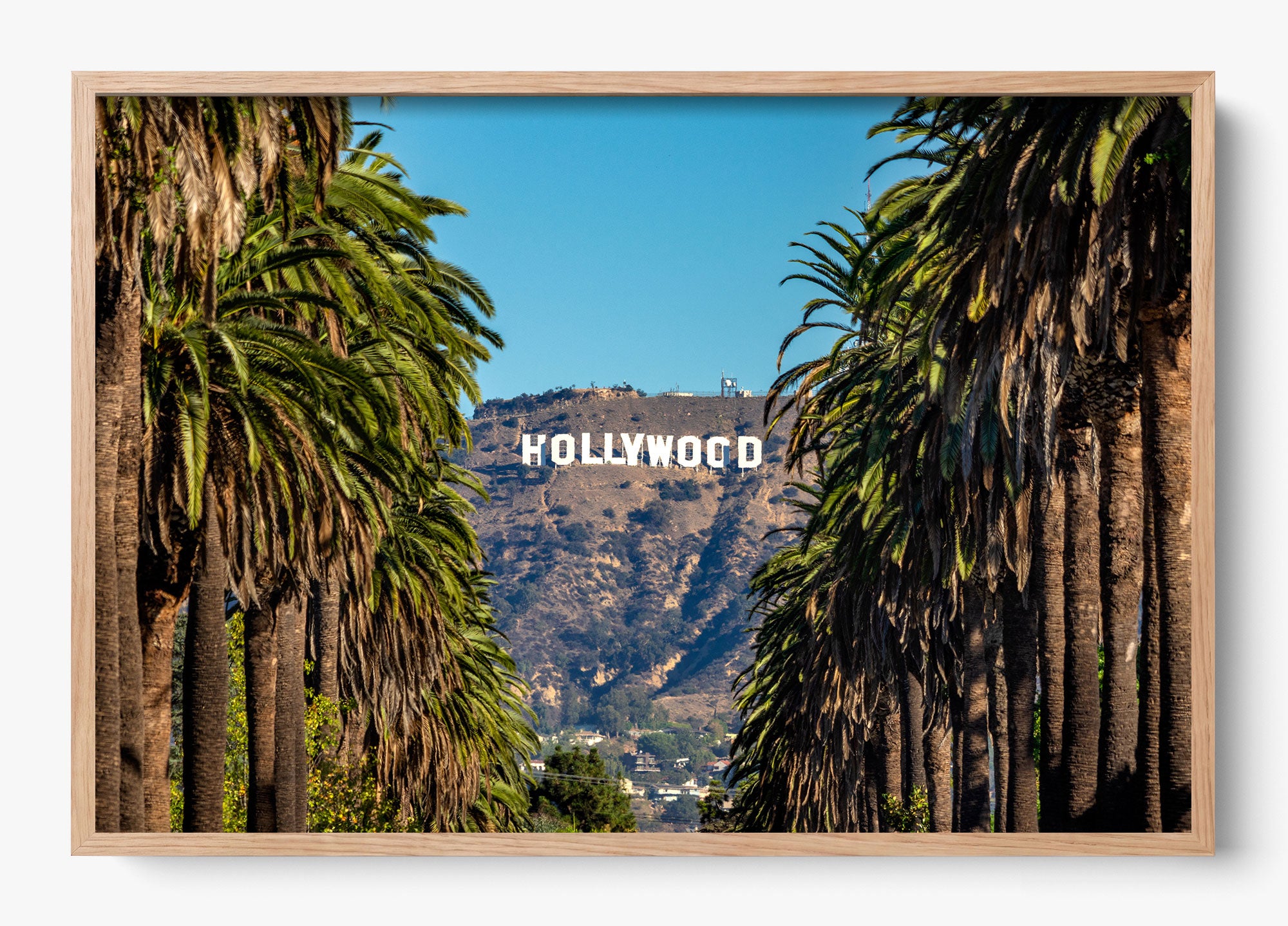 Road To Hollywood