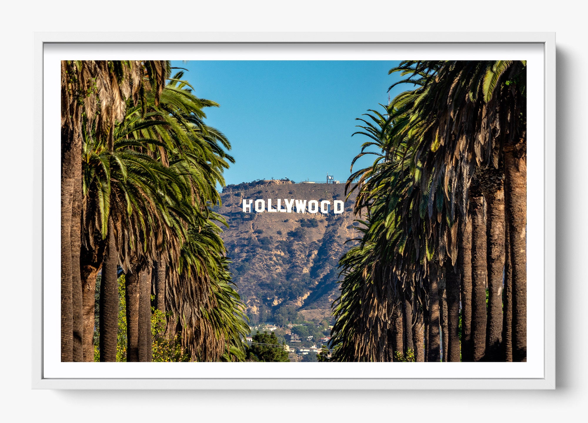 Road To Hollywood