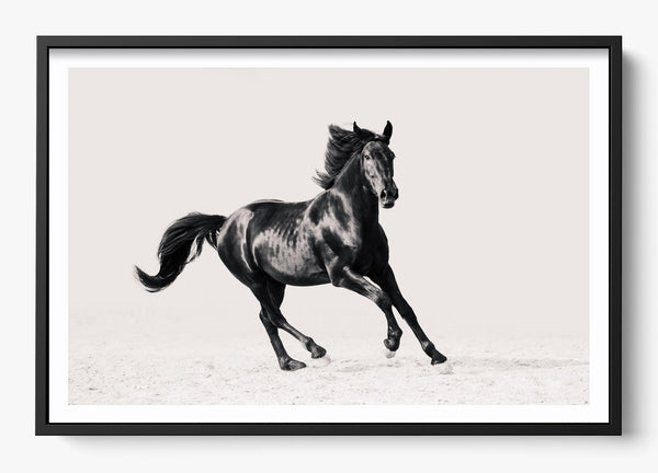 Legacy in a Black frame