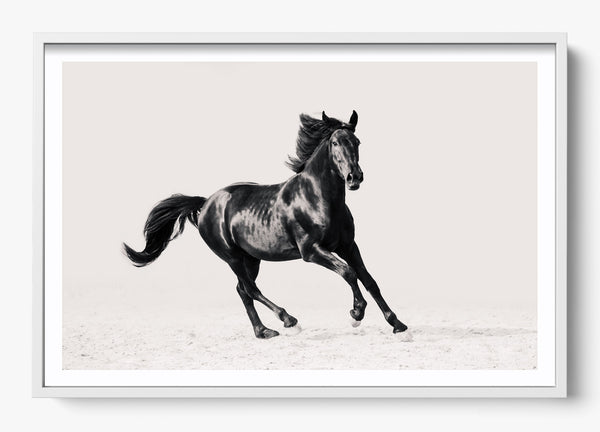 Legacy in a White frame