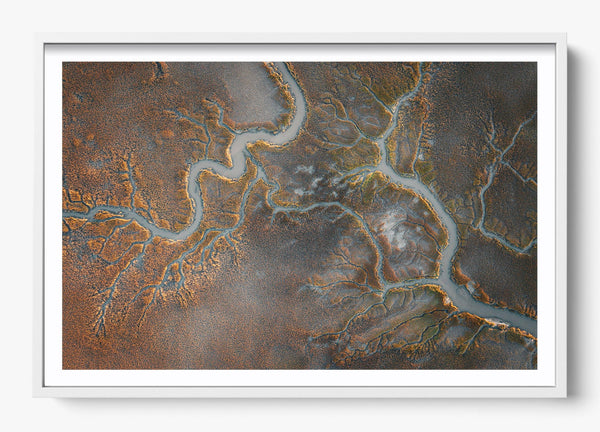Nature's Course in a White frame