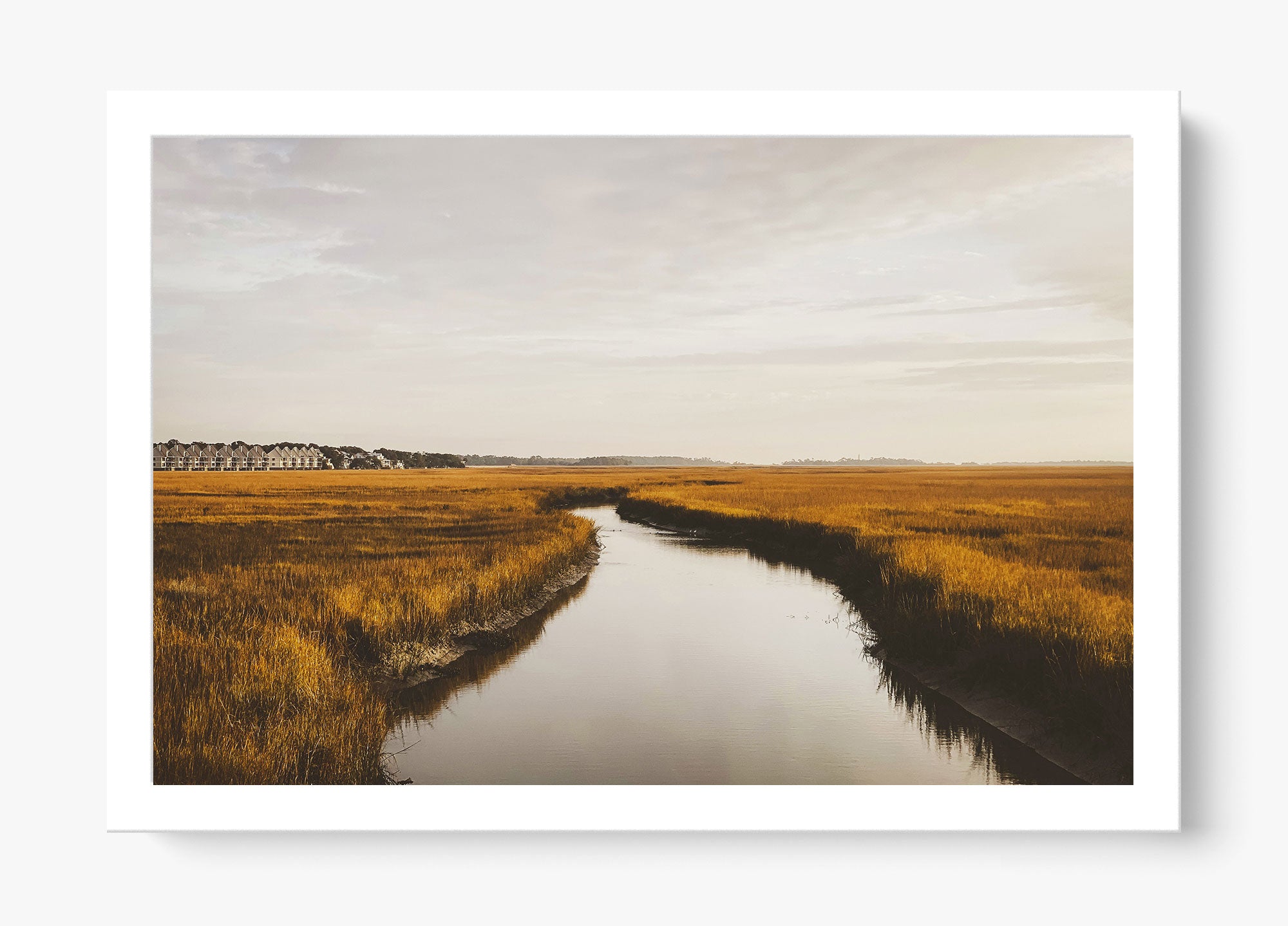 Southern Stillness