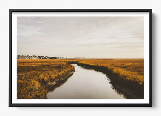 Southern Stillness