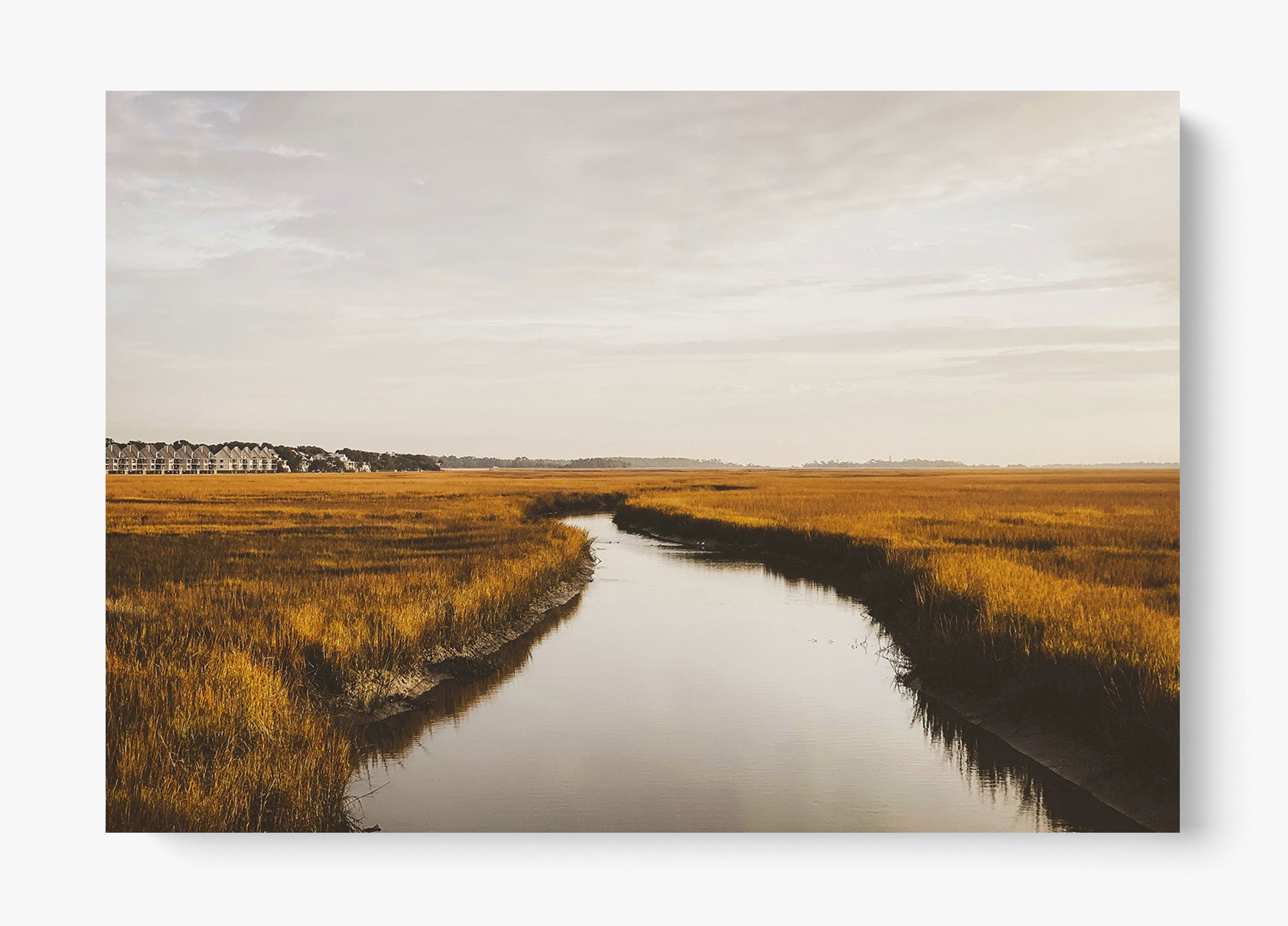 Southern Stillness