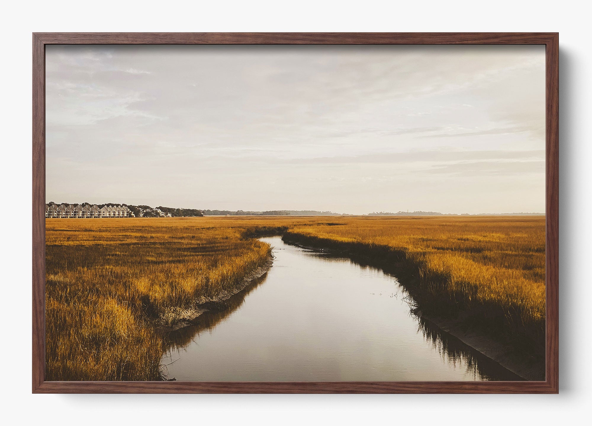 Southern Stillness