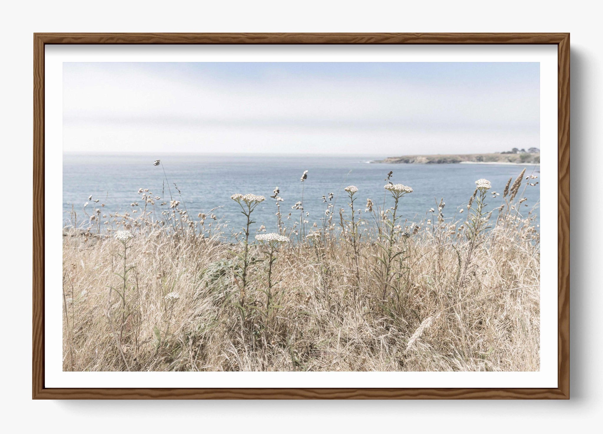 California Wildflower