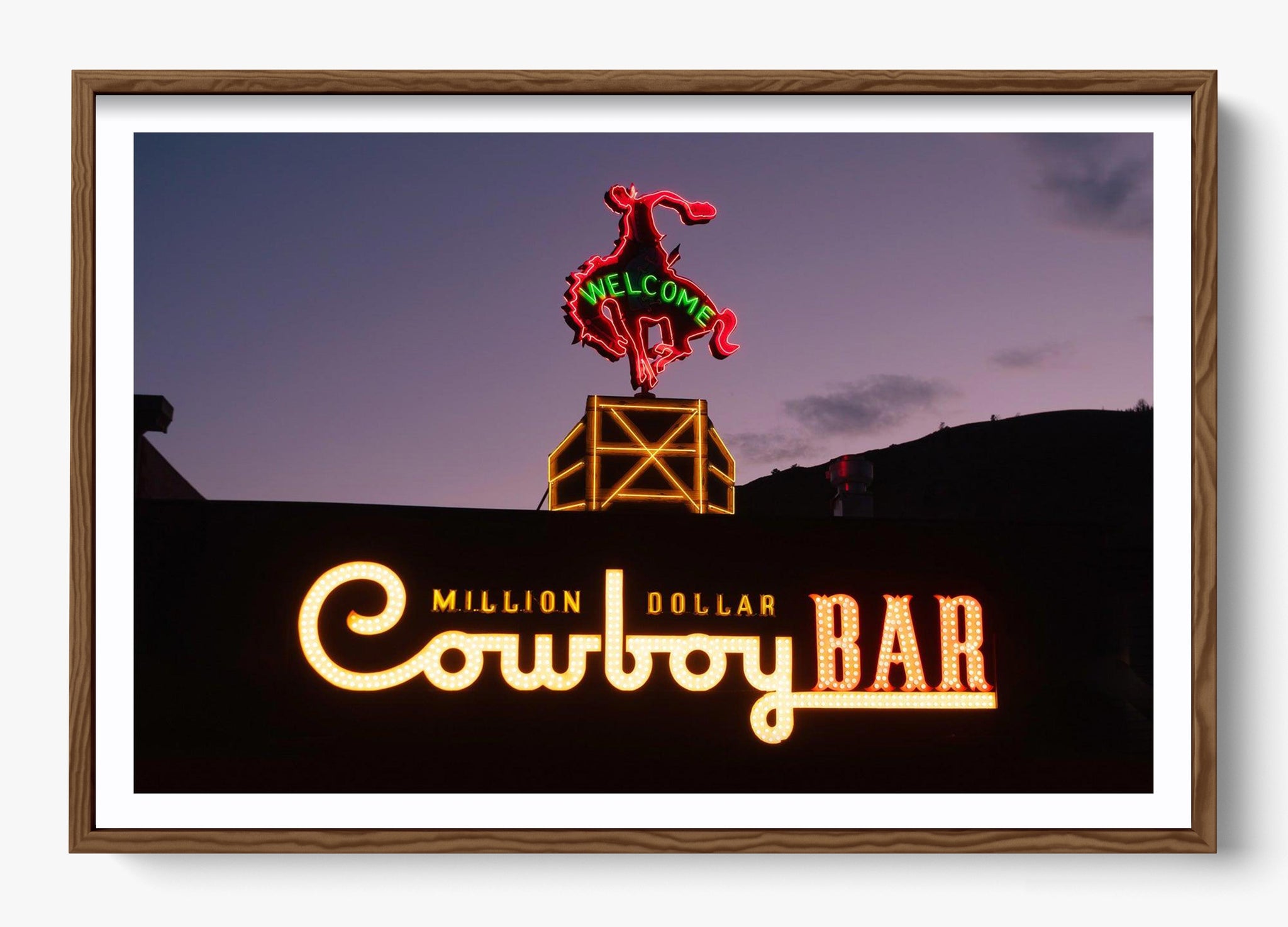 Million Dollar Cowboy
