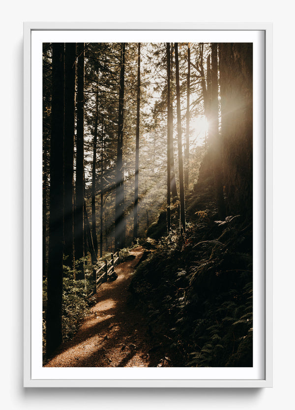 The Morning Sun in a White frame