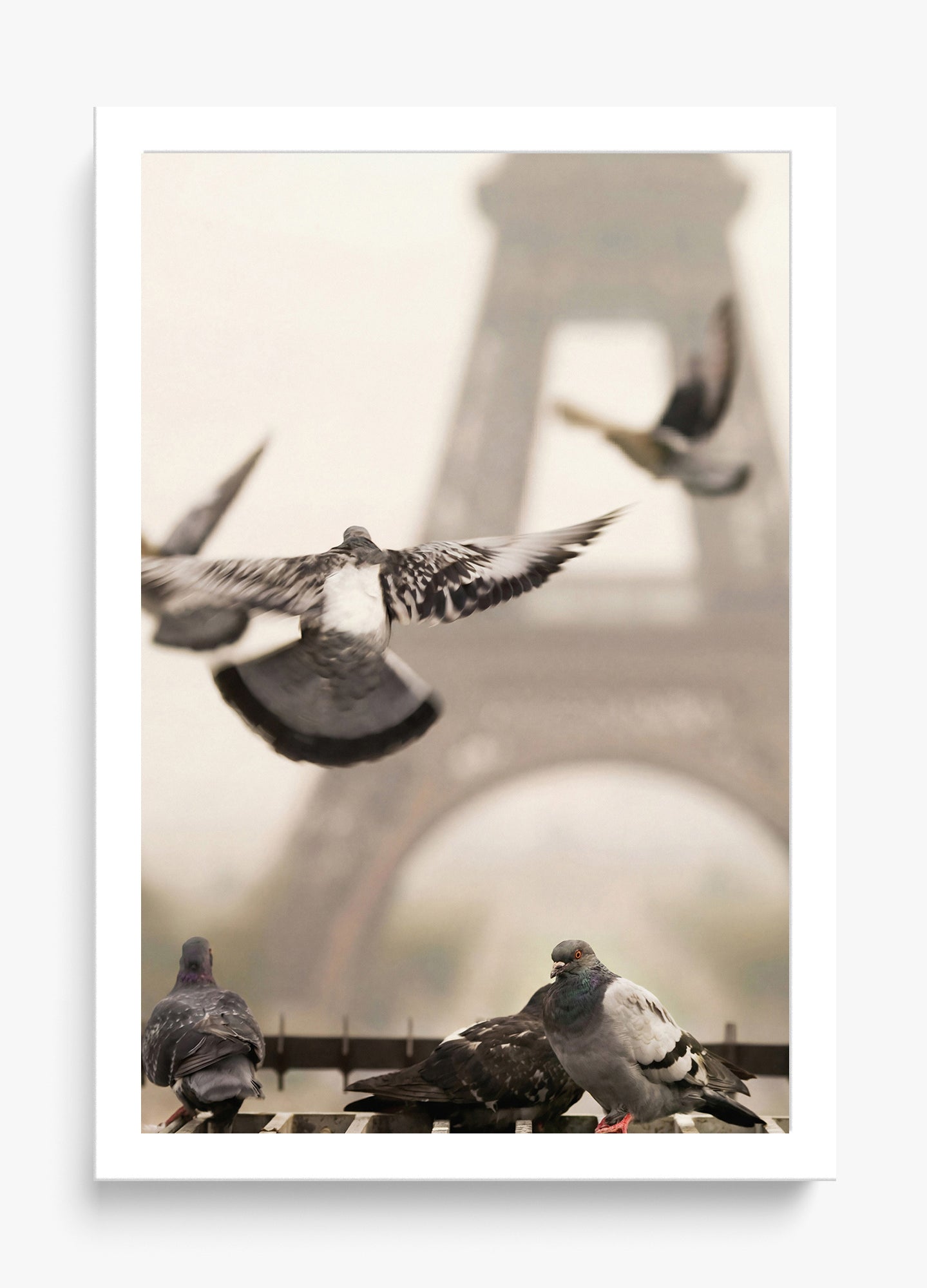 Good Morning Paris
