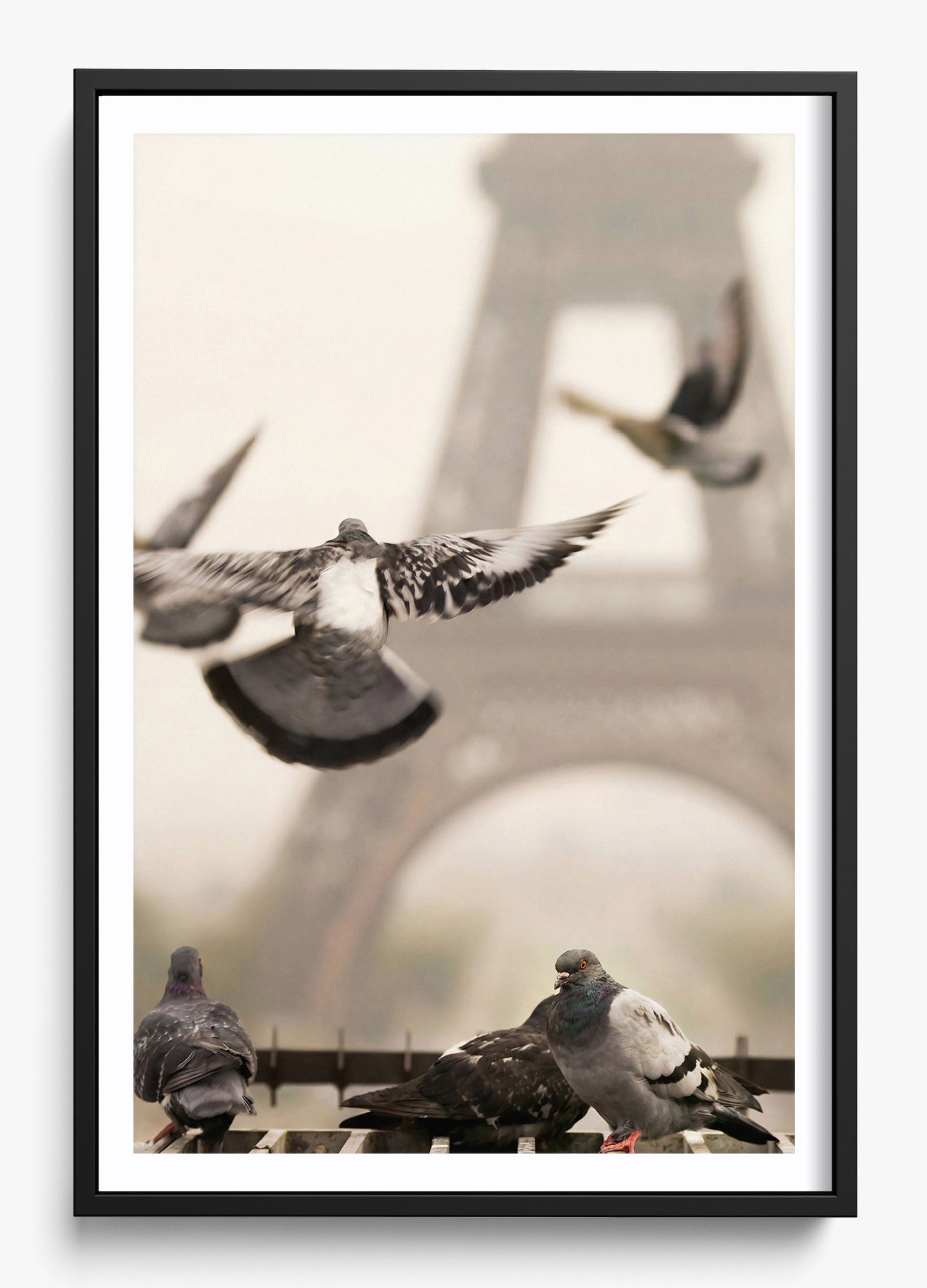 Good Morning Paris
