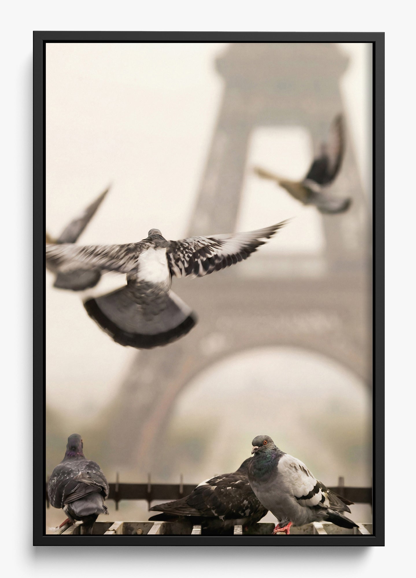 Good Morning Paris
