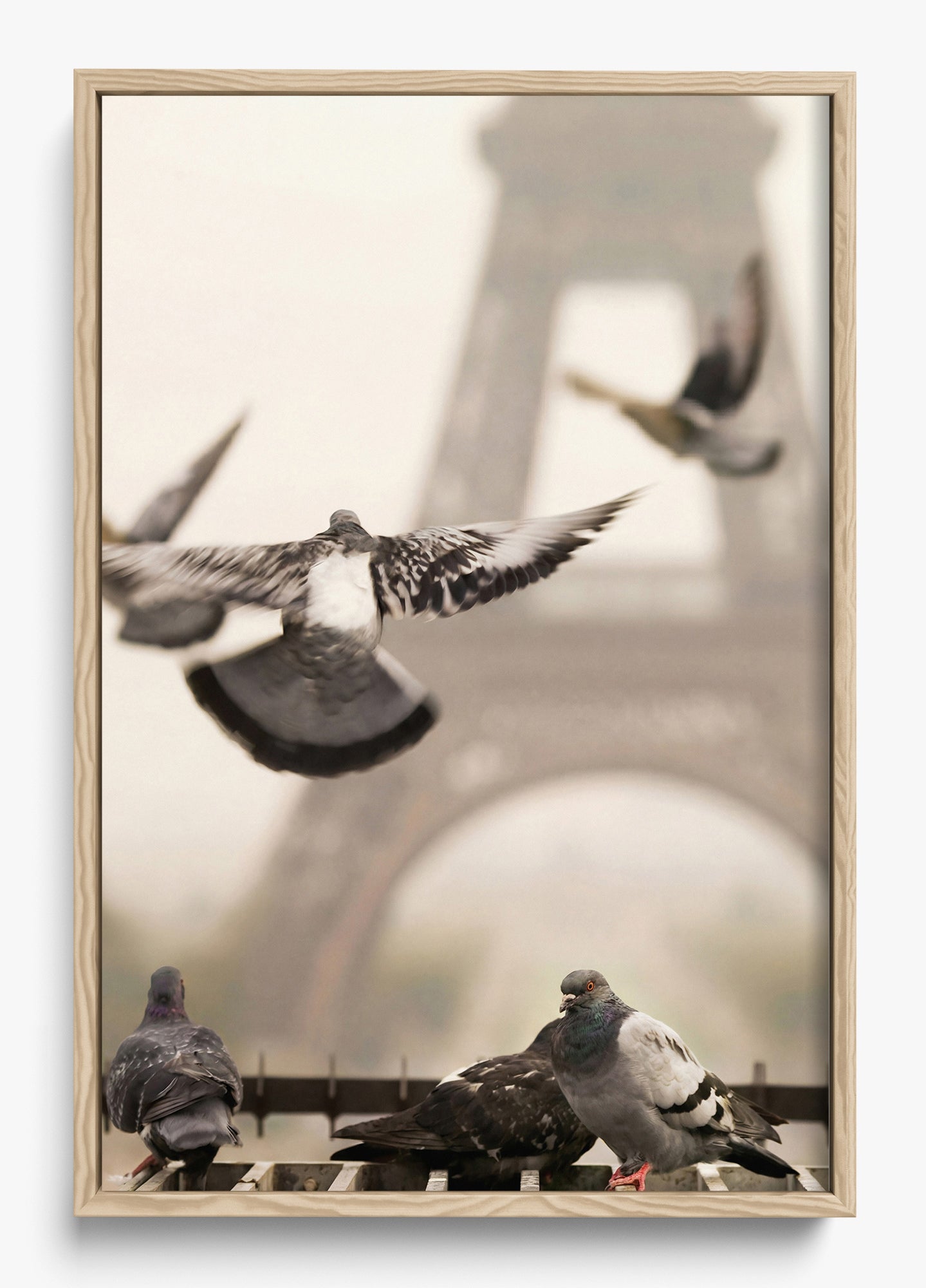 Good Morning Paris