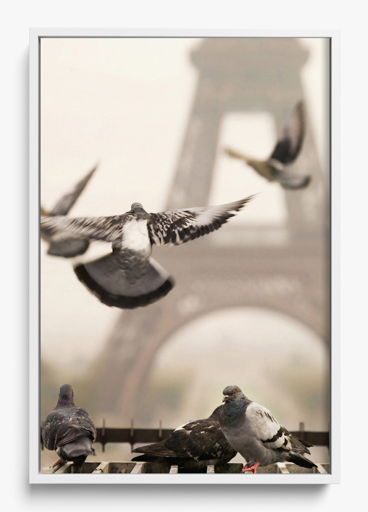 Good Morning Paris