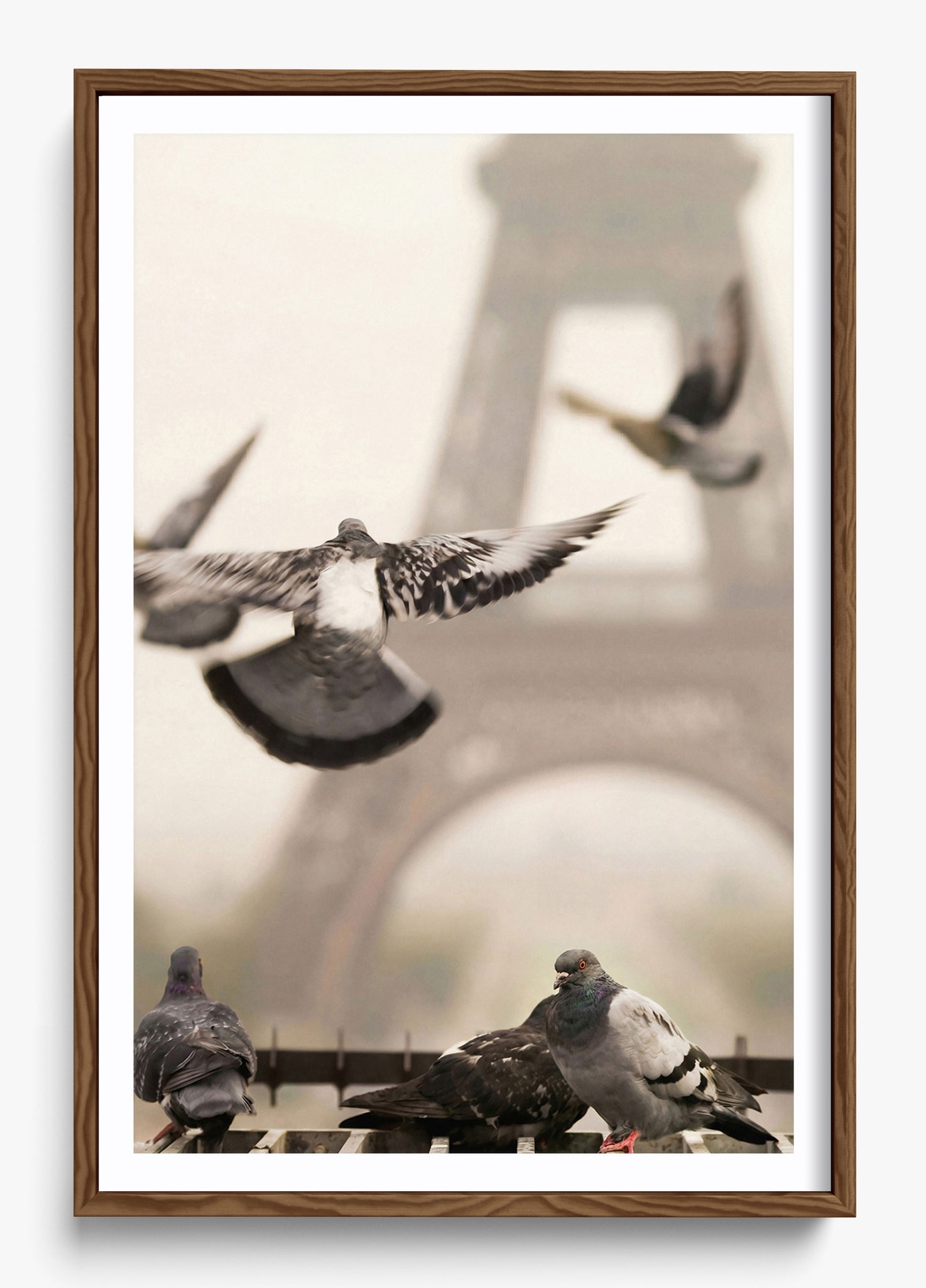 Good Morning Paris