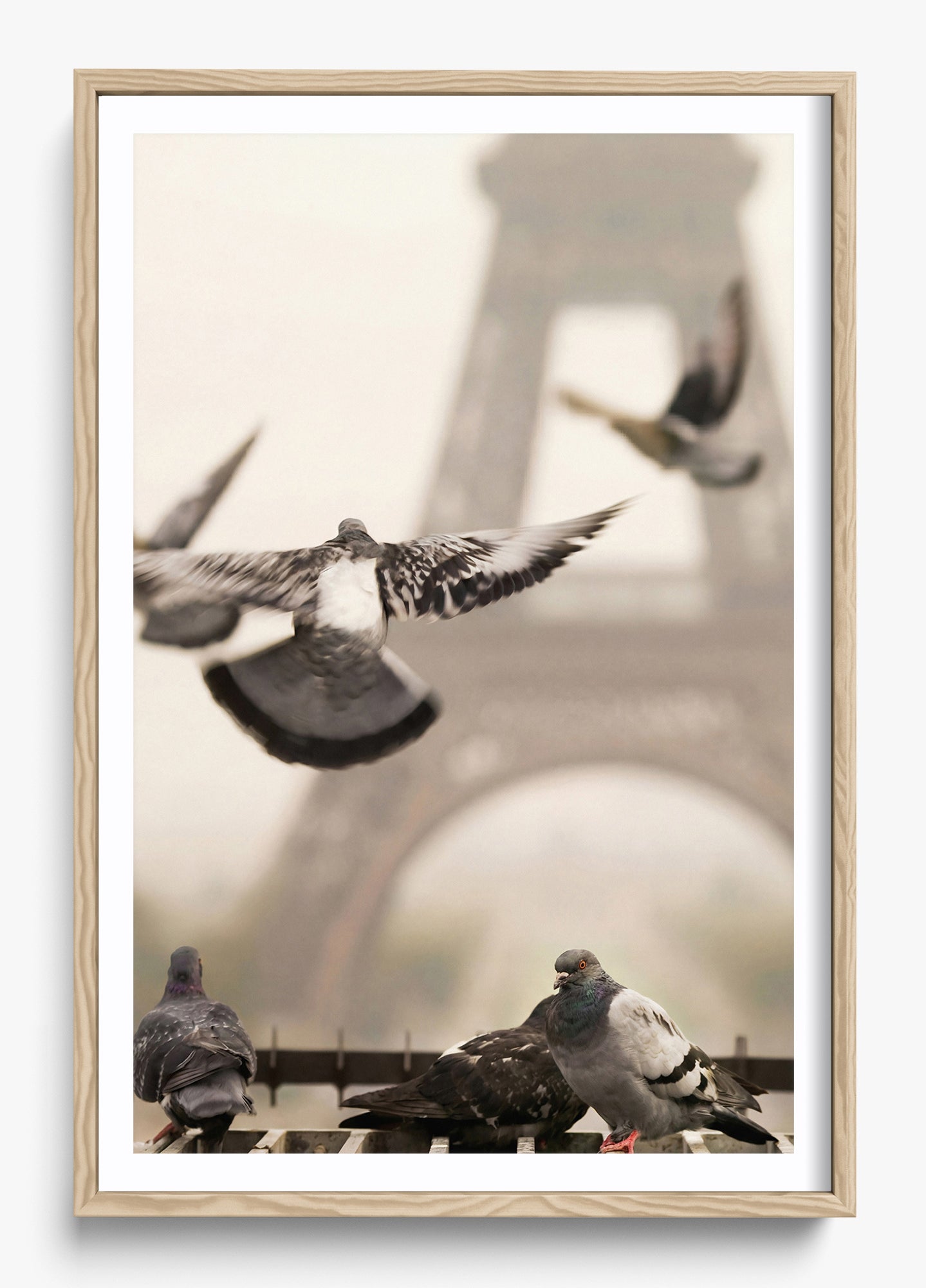 Good Morning Paris