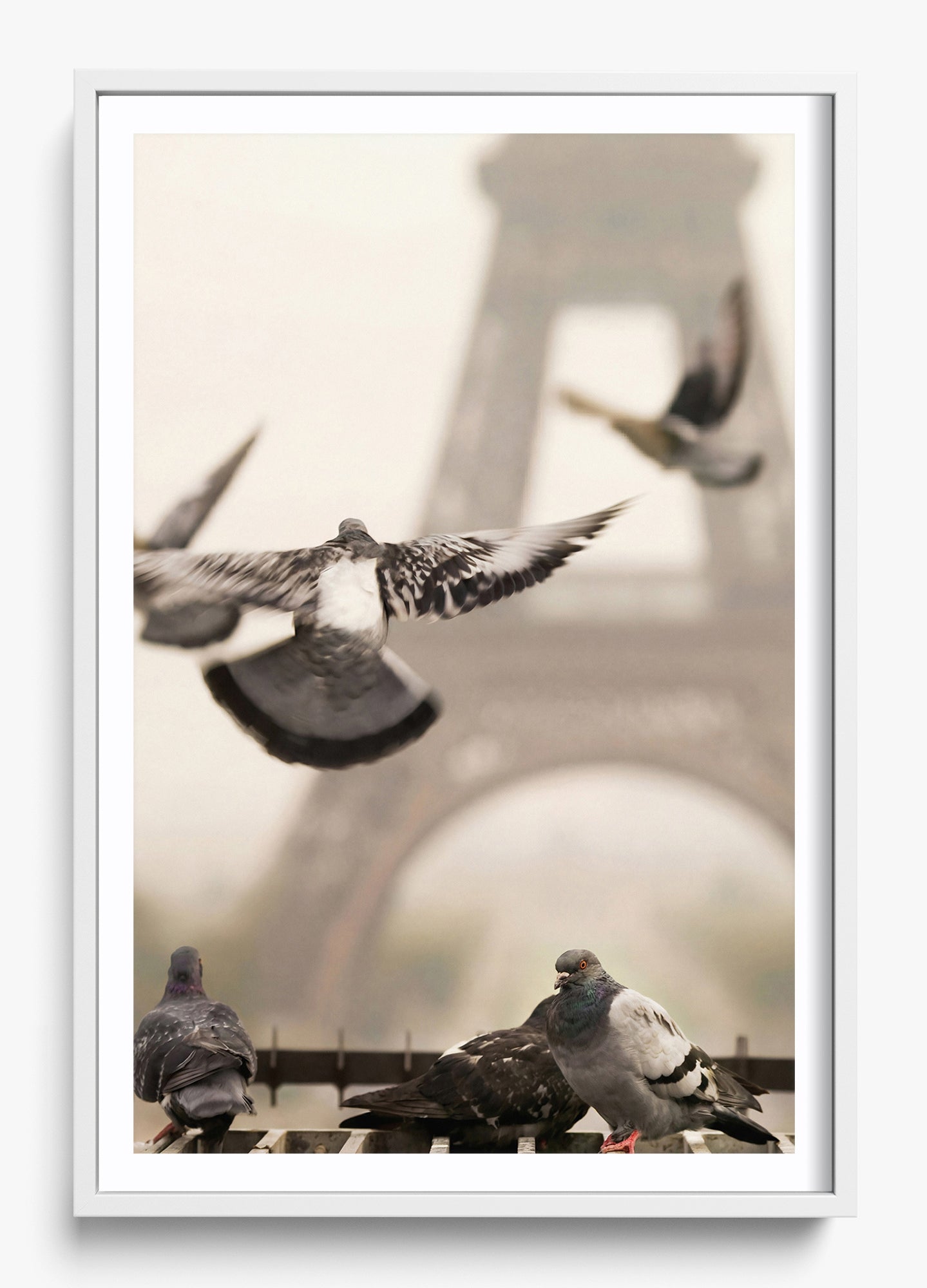 Good Morning Paris