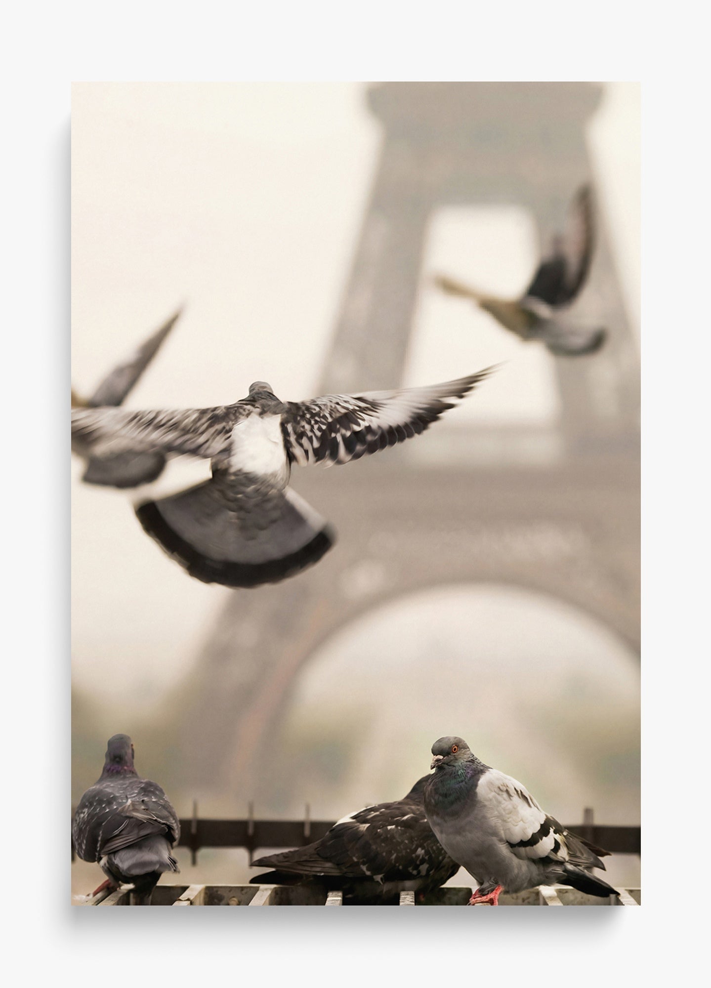 Good Morning Paris