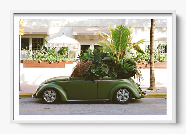 Over Grown in a White frame