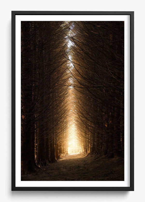 Moving Forward in a Black frame