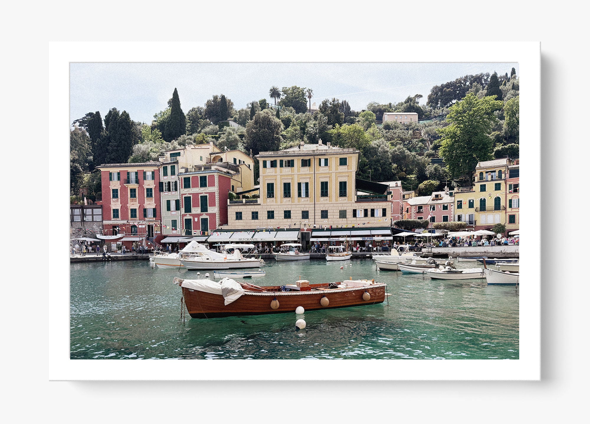 Portofino Darlings