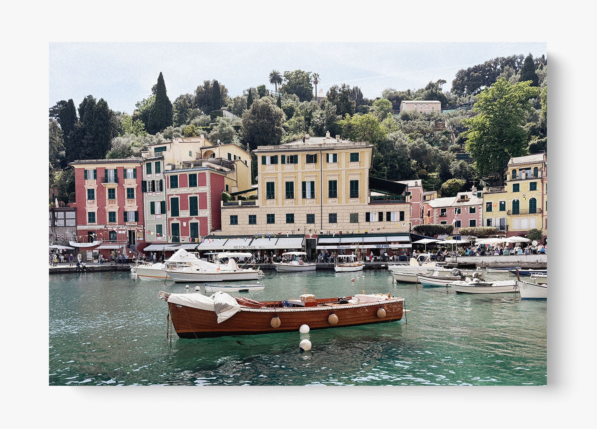 Portofino Darlings