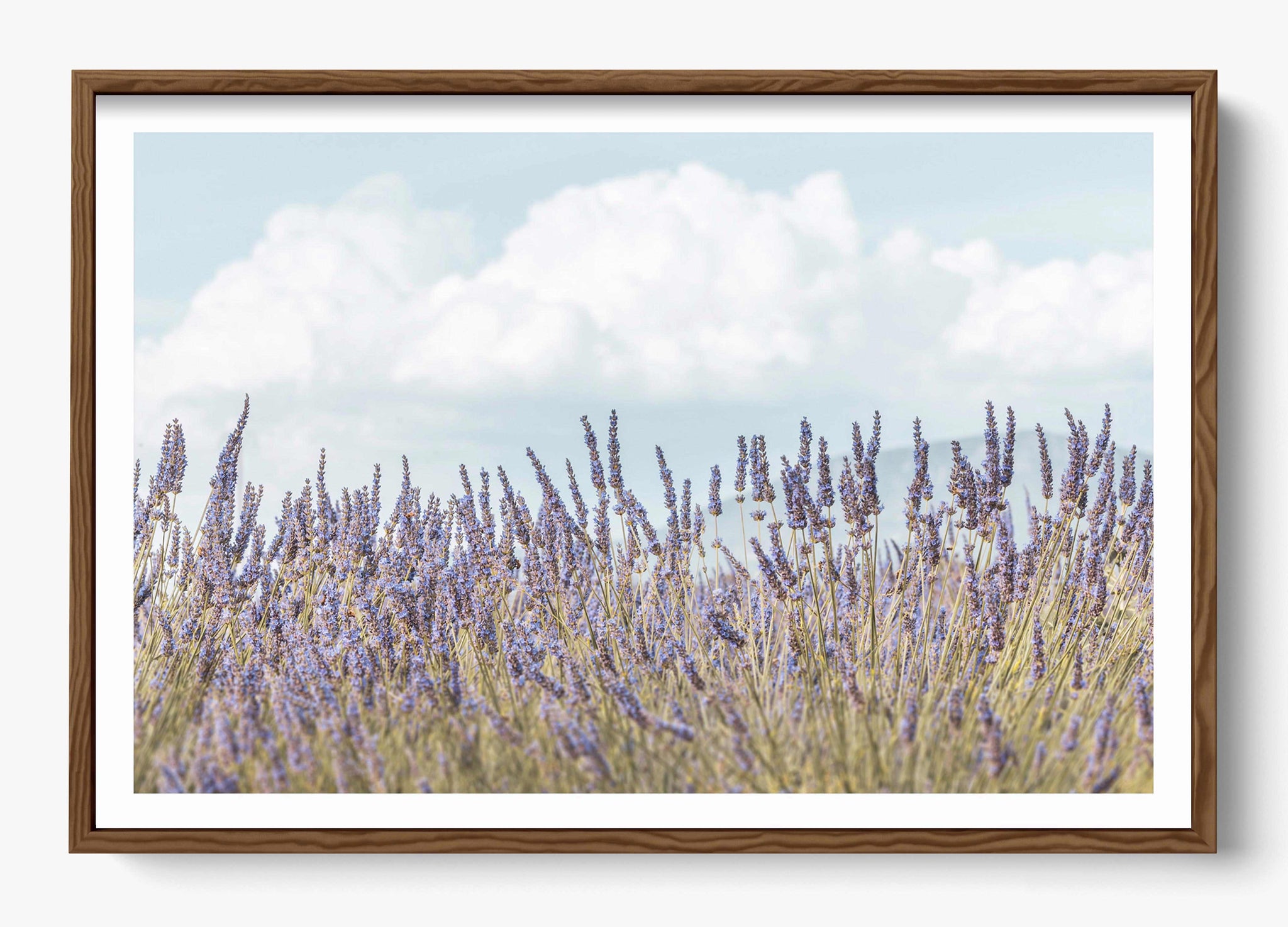 Provence