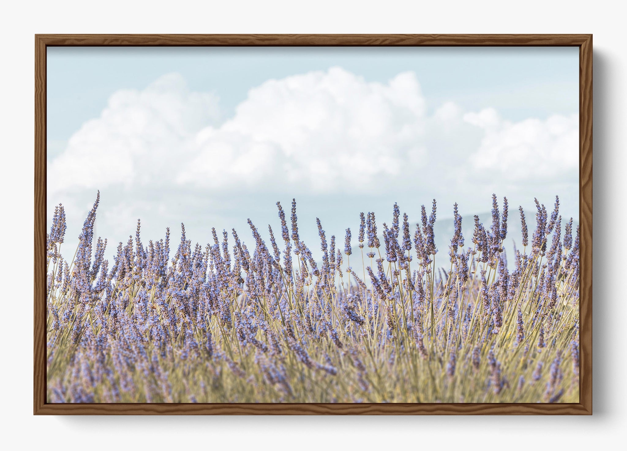 Provence