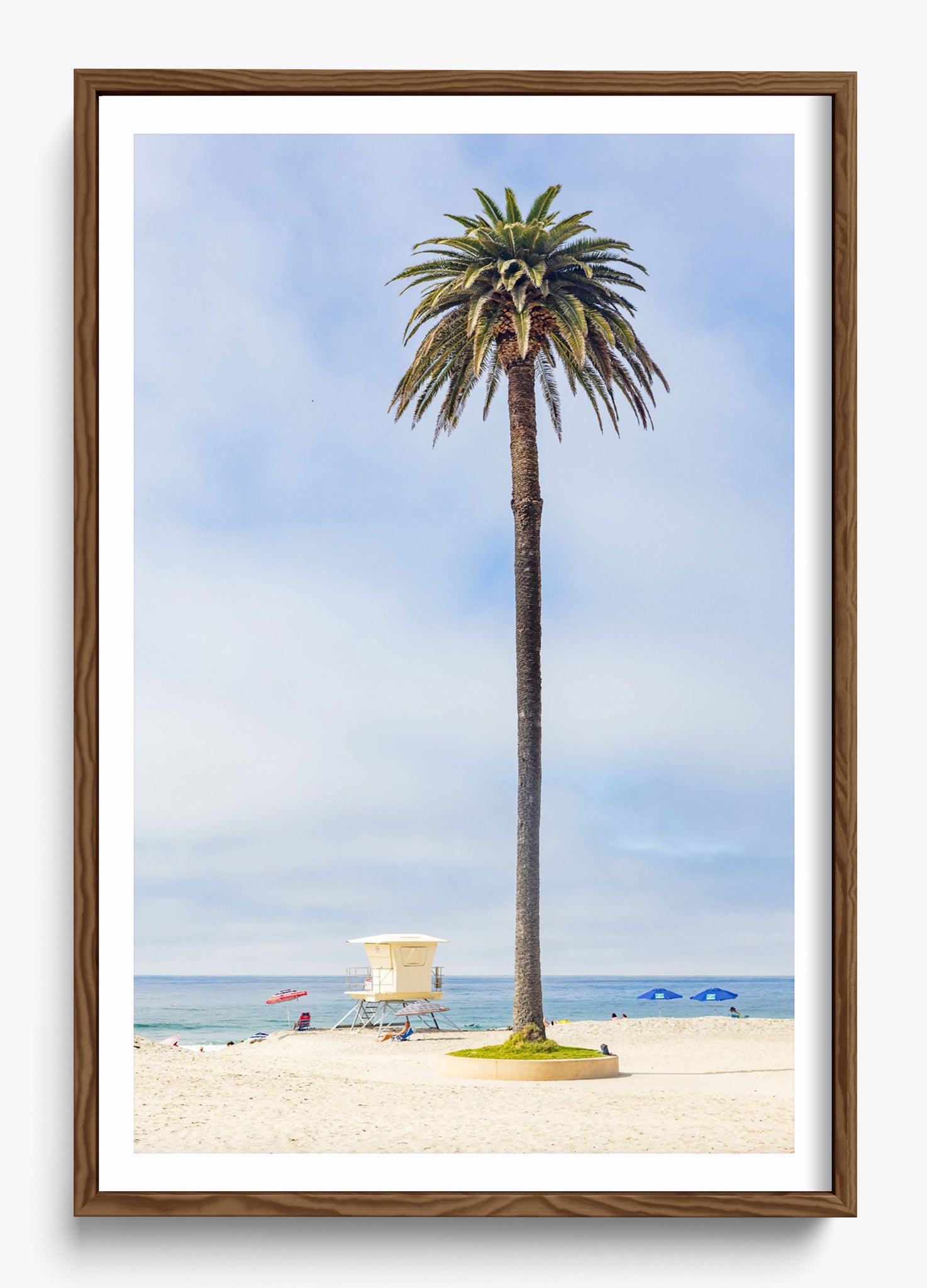 San Diego Palms