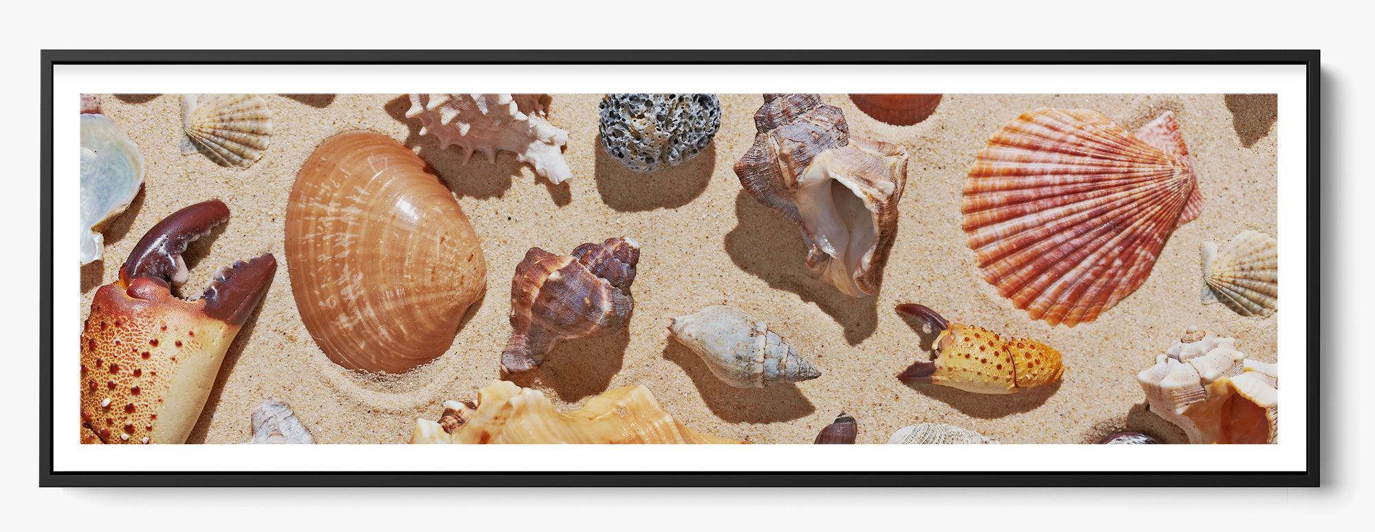 Shelly unframed fine art print
