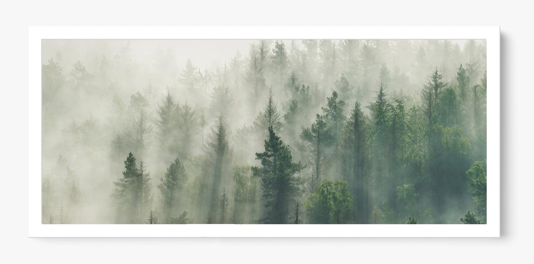 Foggy Pines Unframed