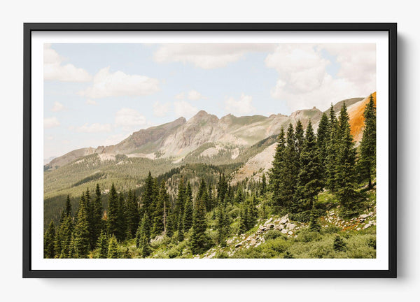 Telluride Pines in a Black frame
