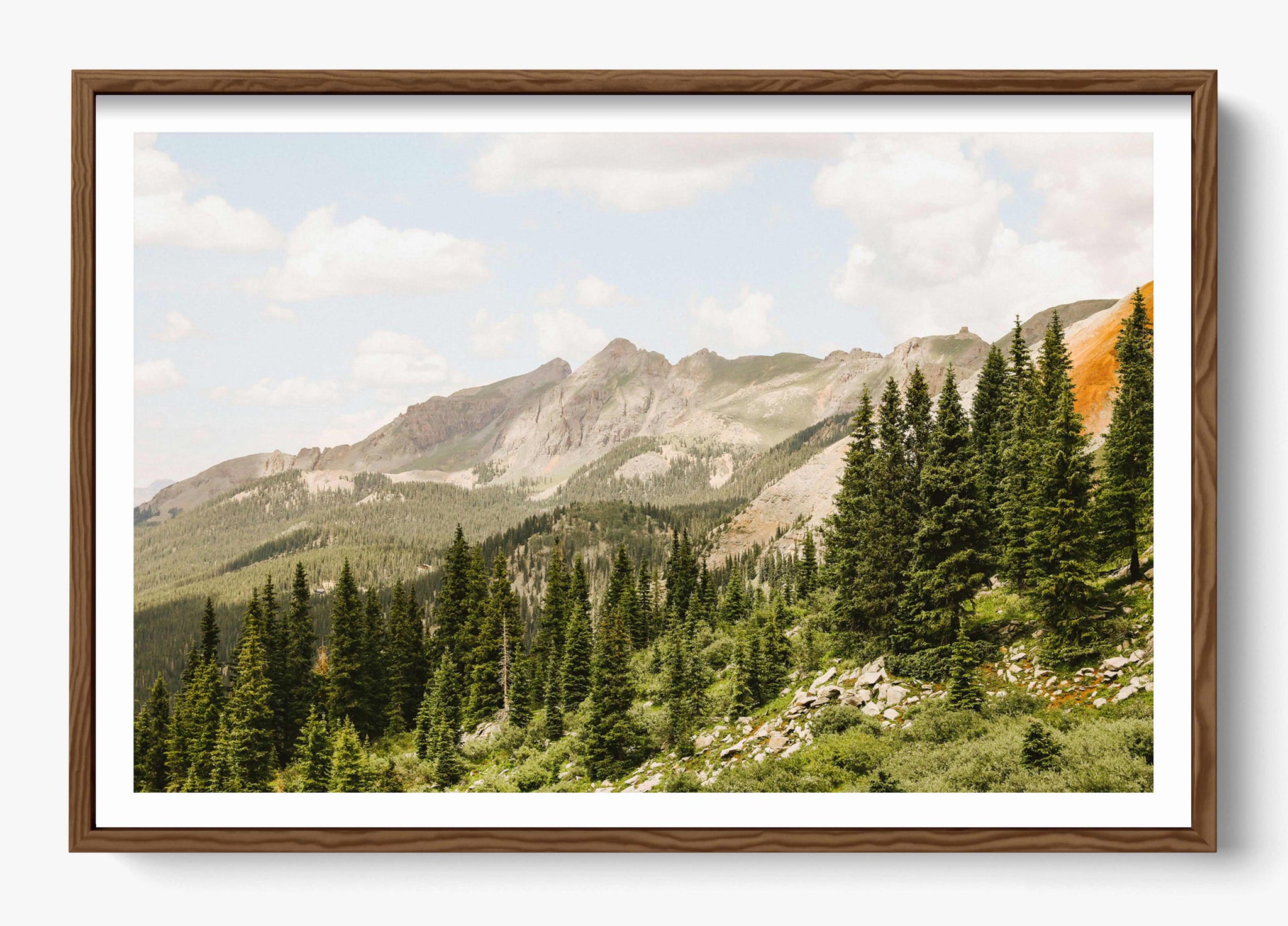 Telluride Pines