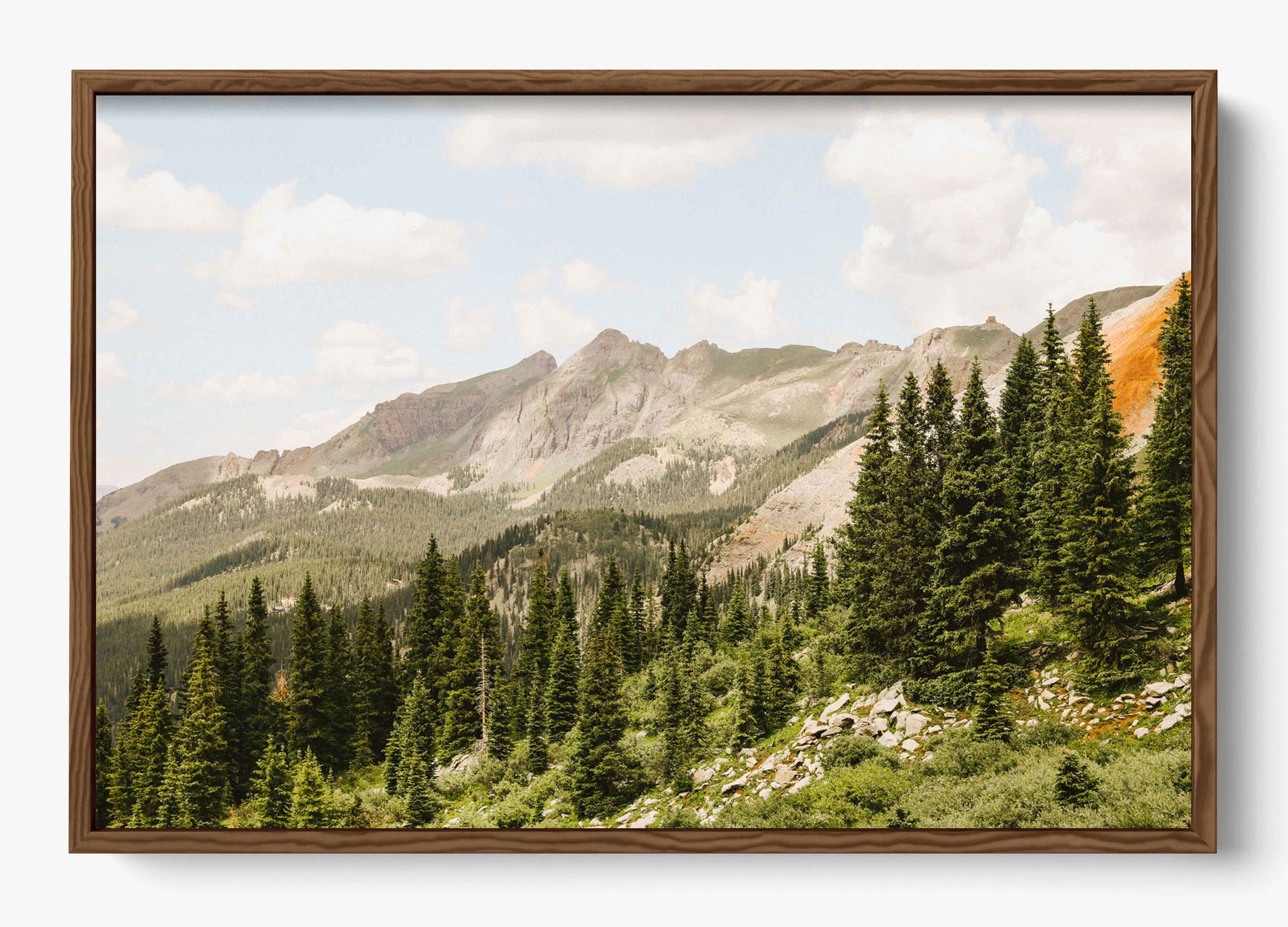 Telluride Pines