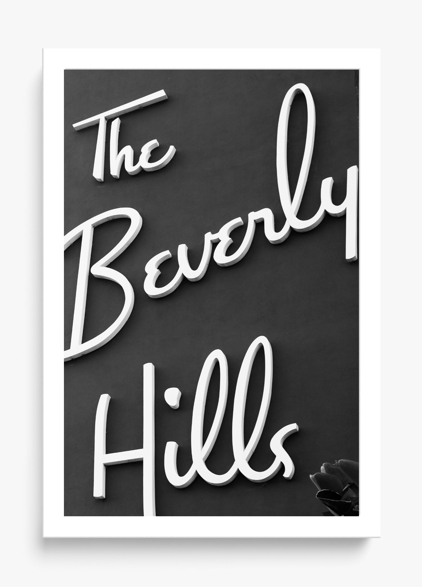 The Beverly Hills
