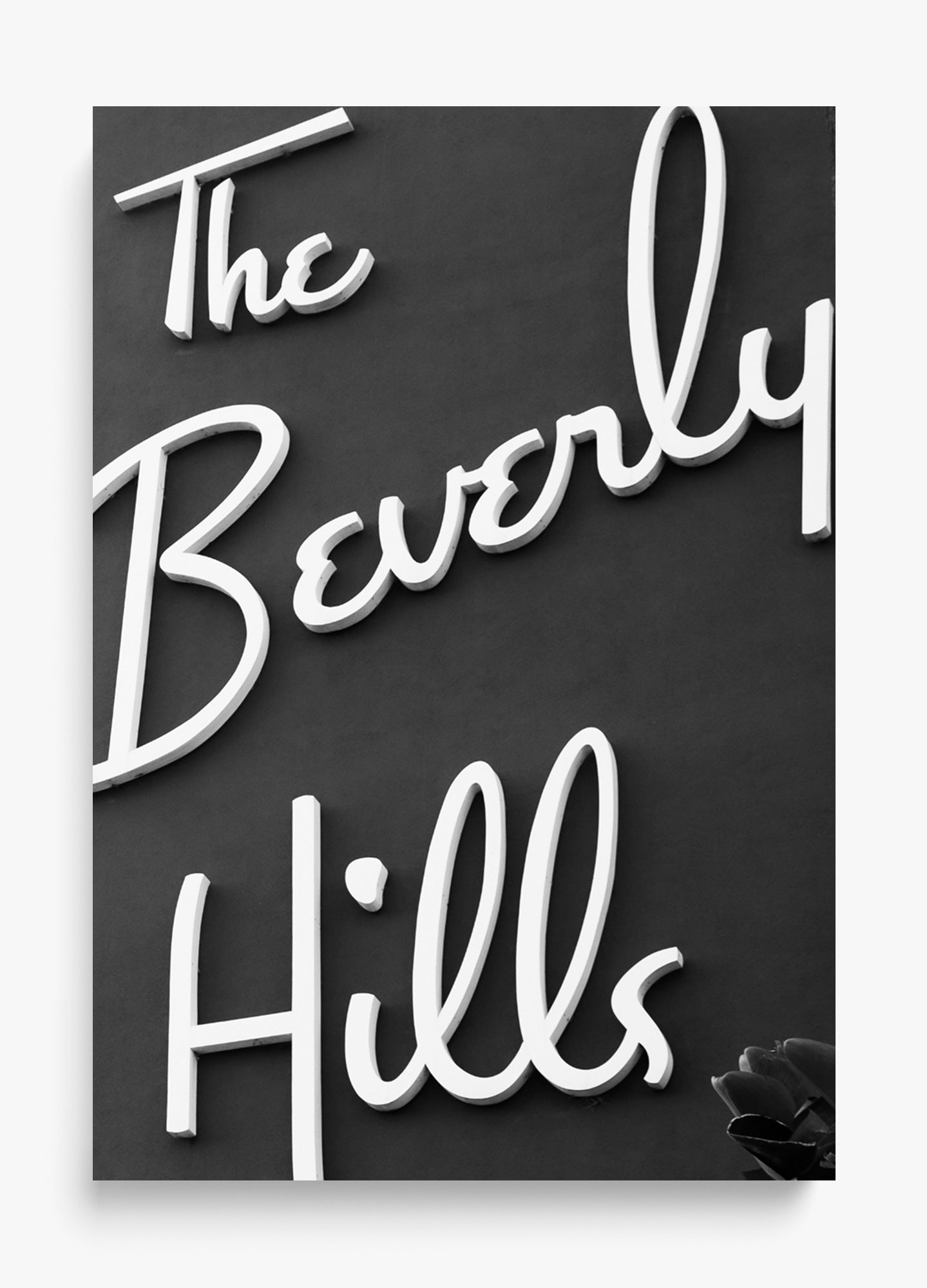 The Beverly Hills