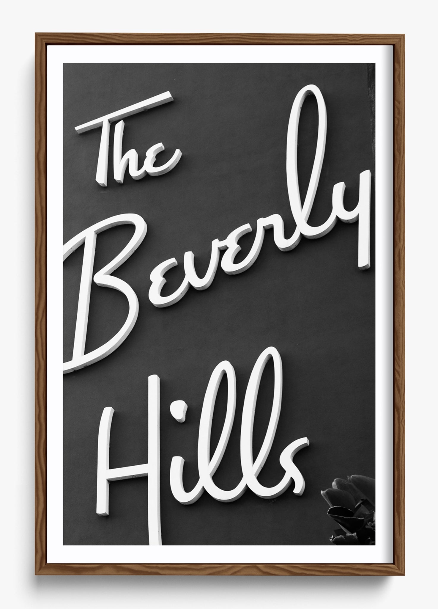 The Beverly Hills