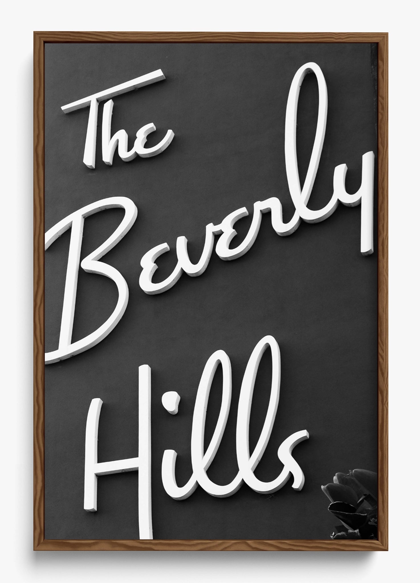 The Beverly Hills