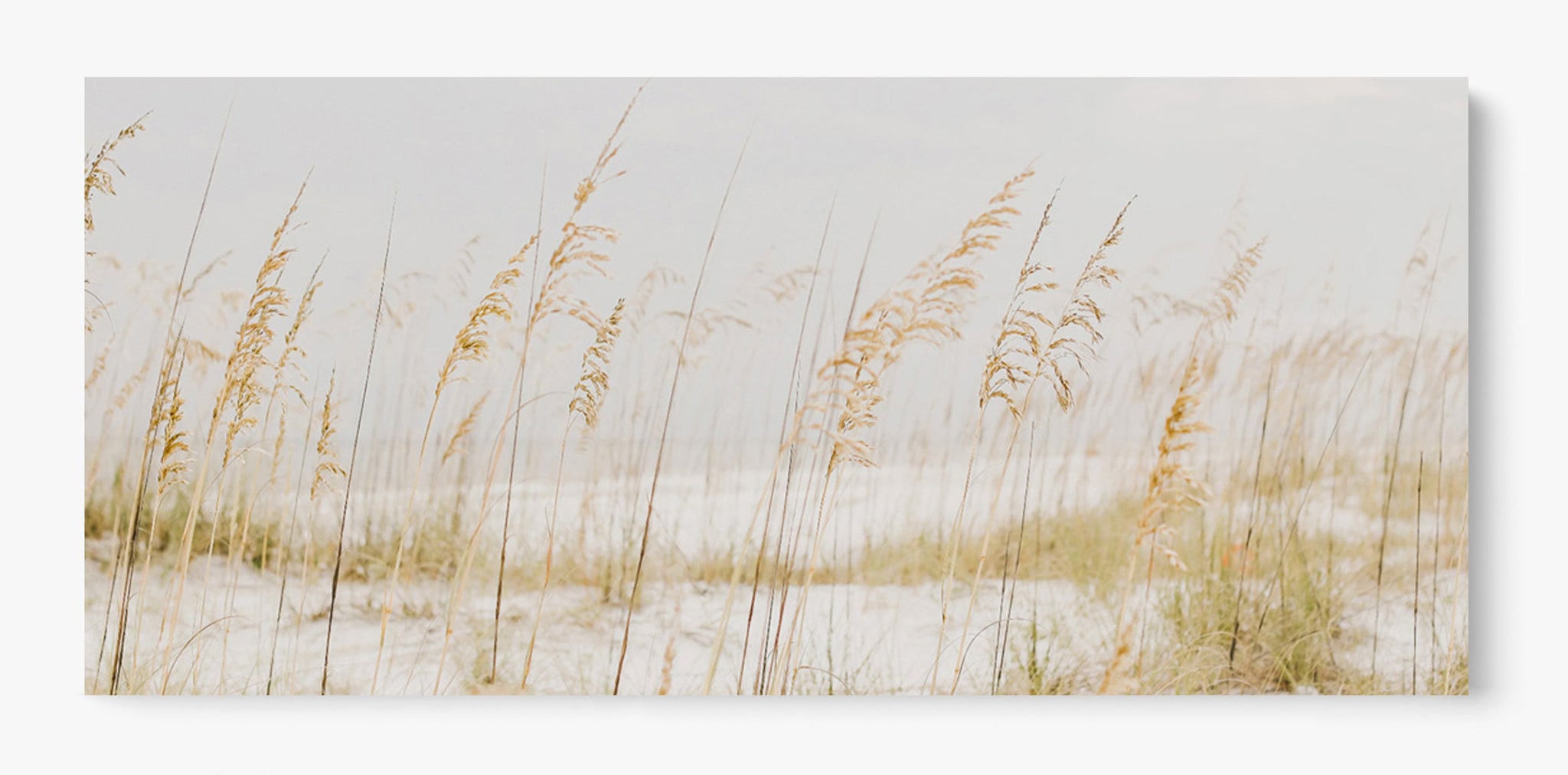 The Gulf Unframed