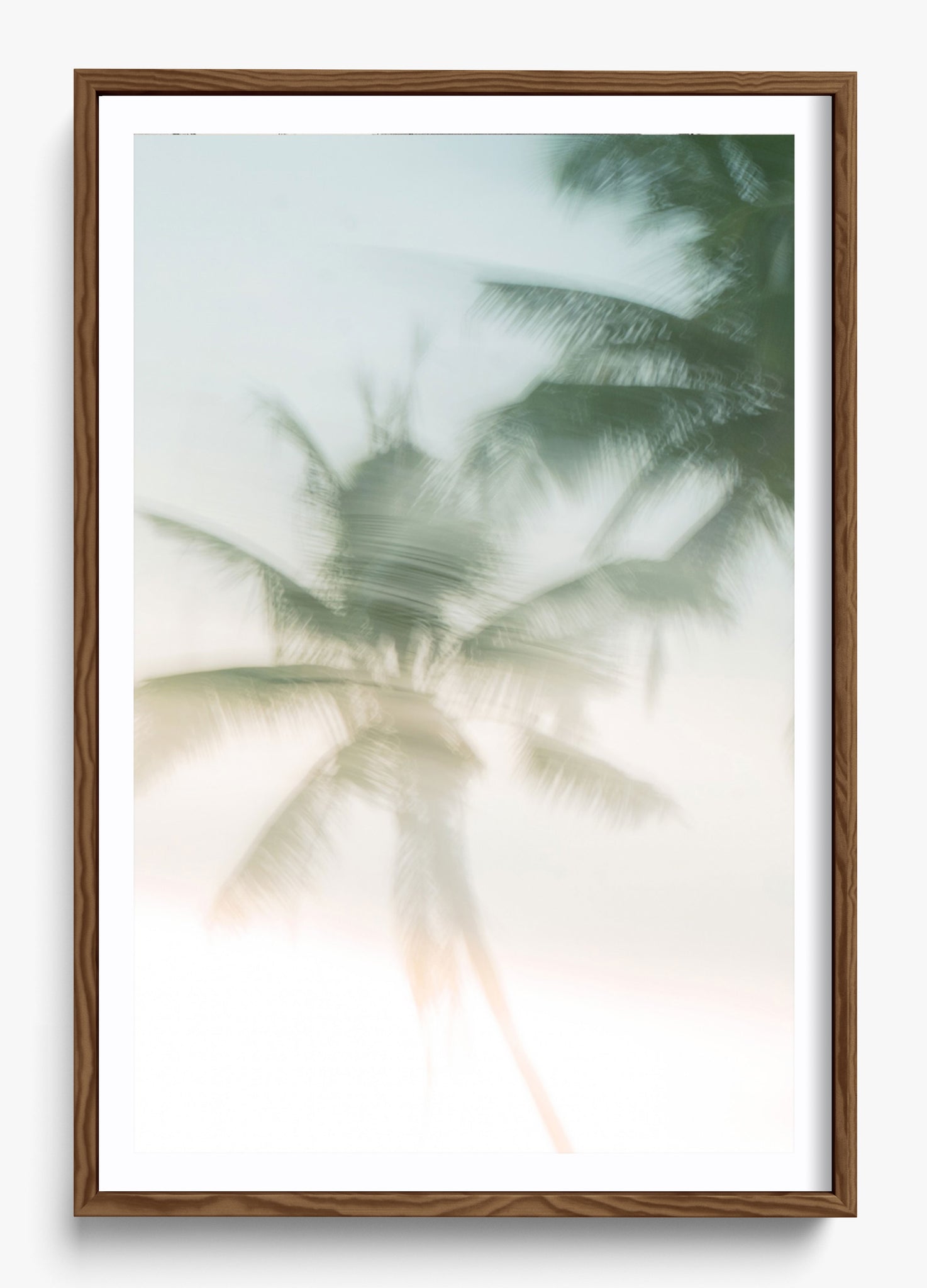 Sri Lankan Serenity